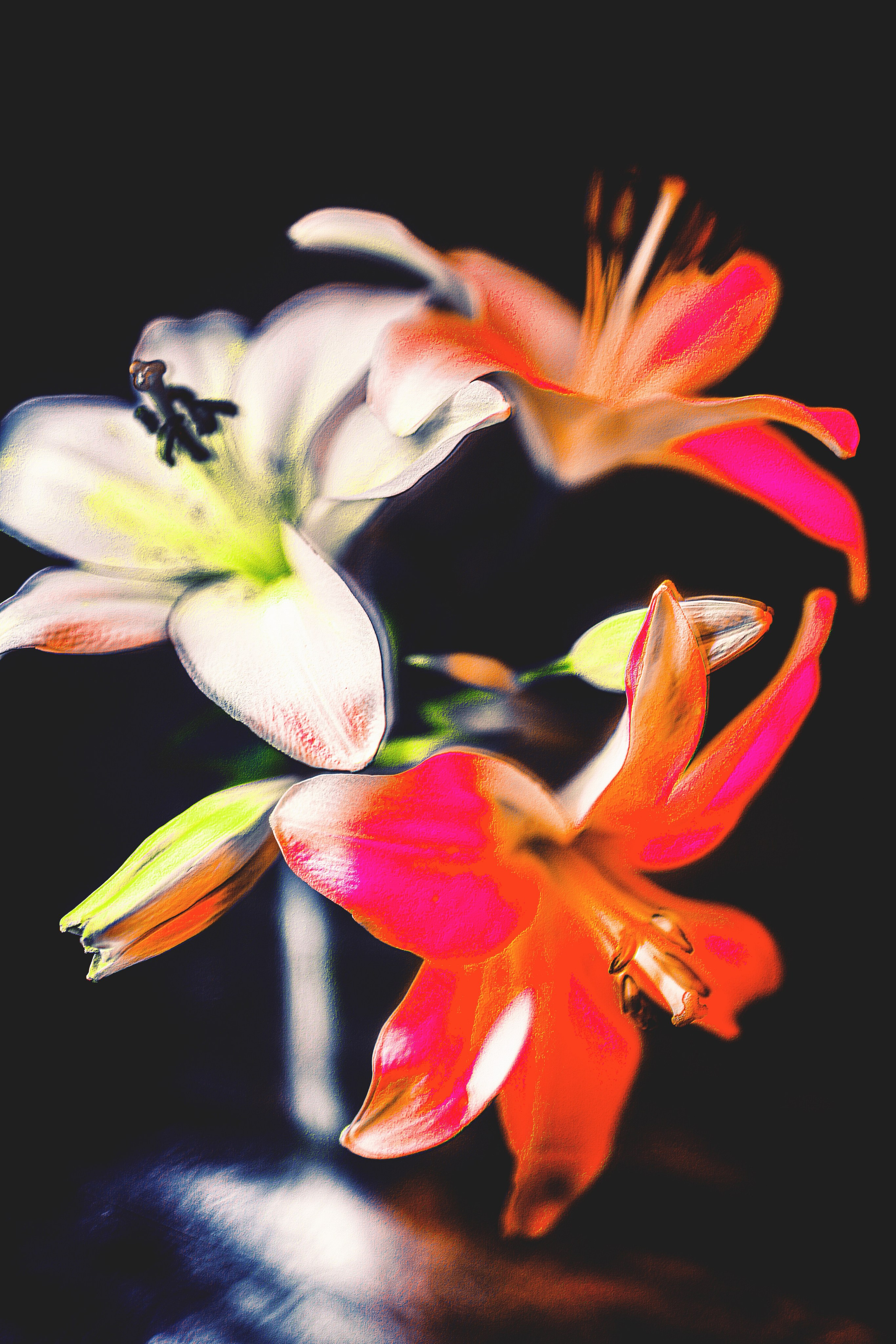 Природа &. Фотохудожник в СПб