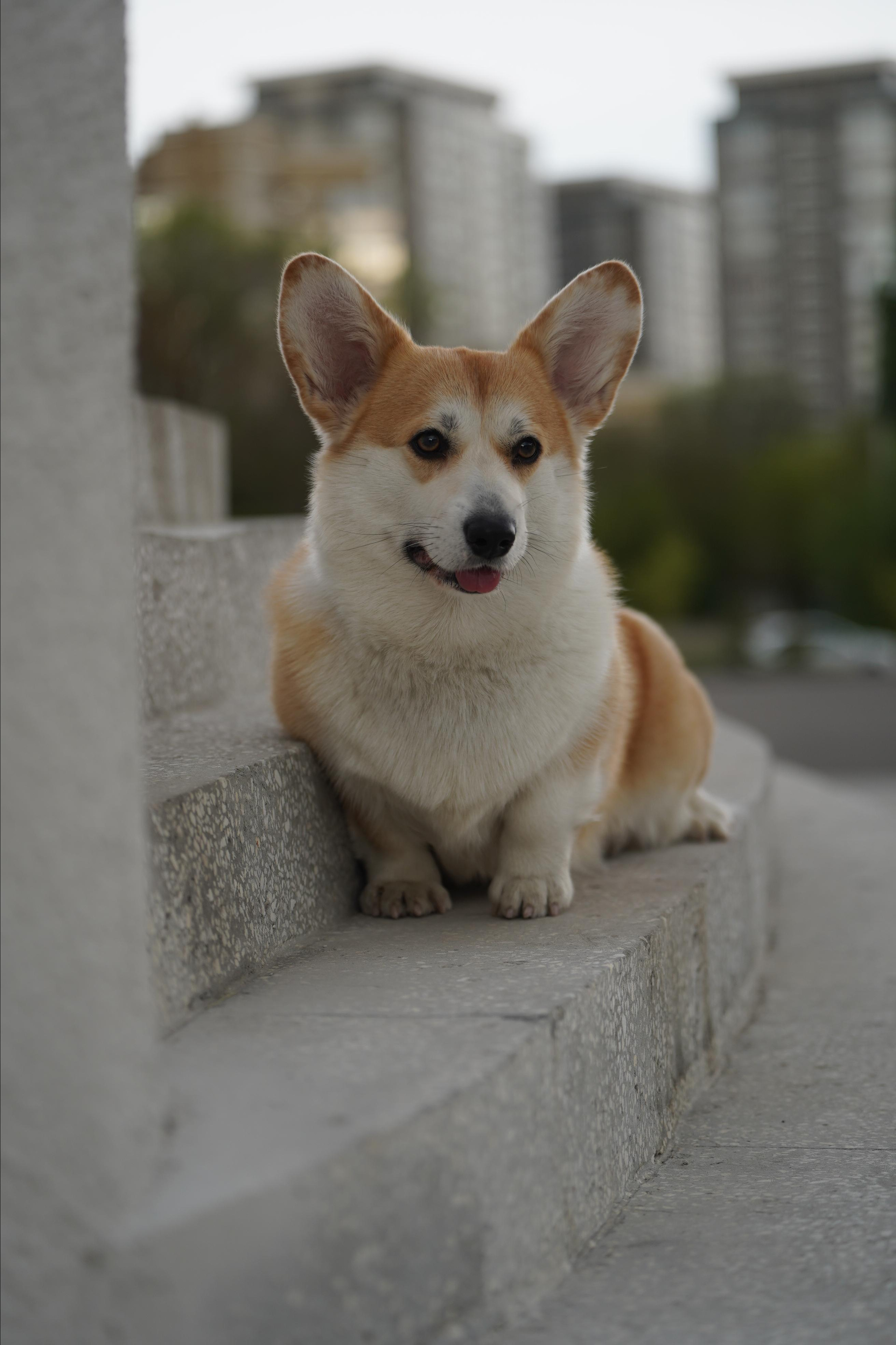 Ева. Фотограф анималист