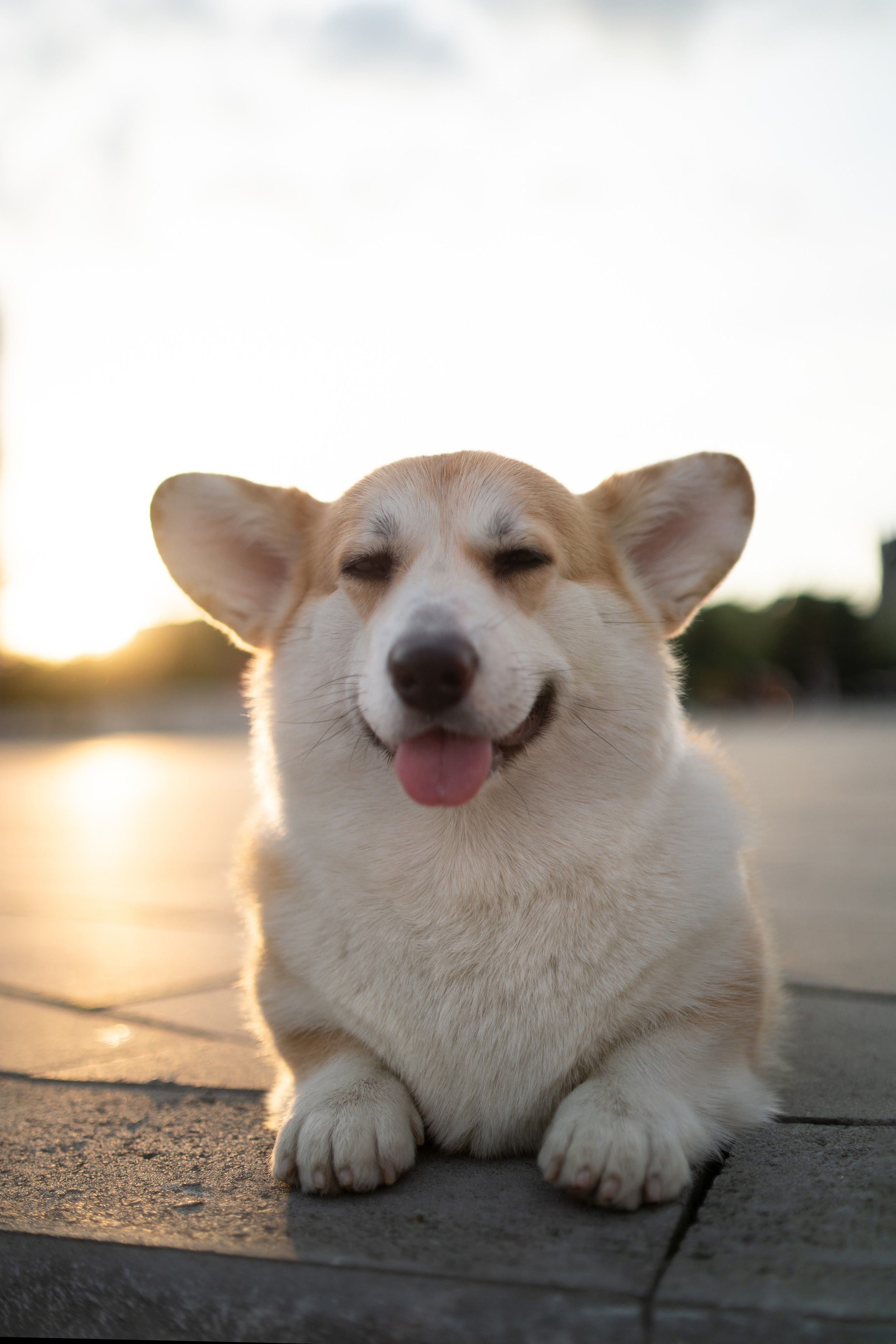 Ева. Фотограф анималист