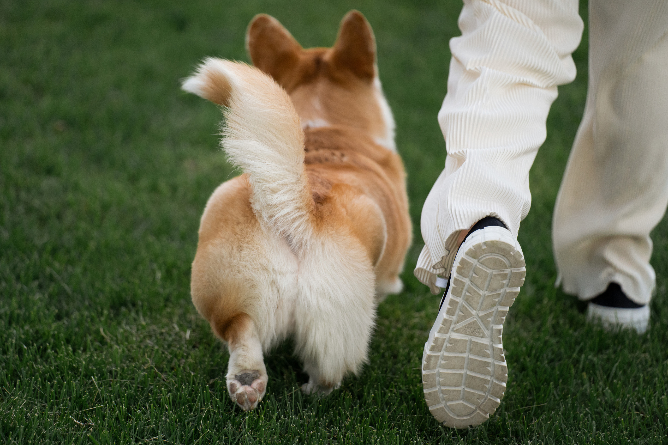 Ева. Фотограф анималист