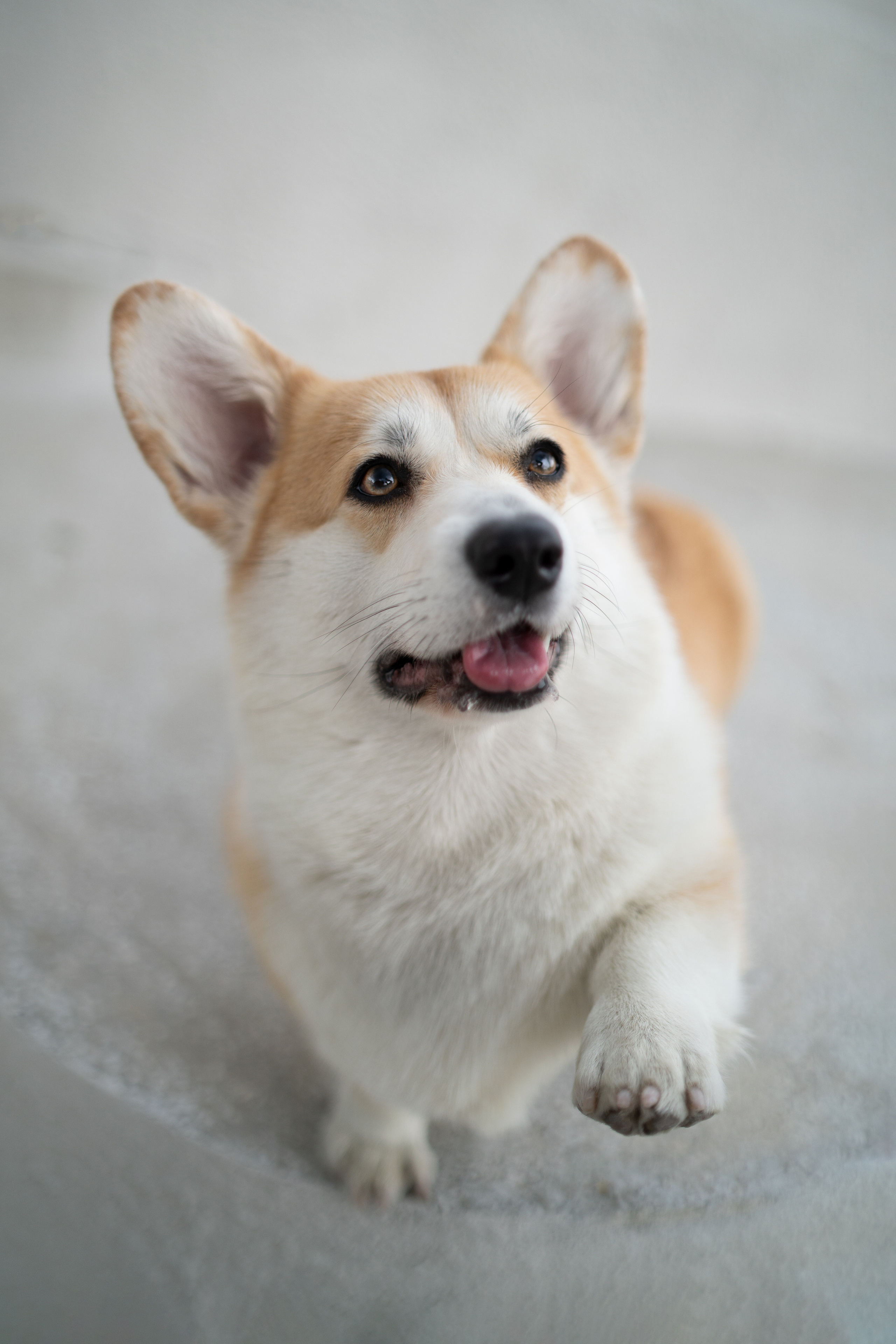 Ева. Фотограф анималист