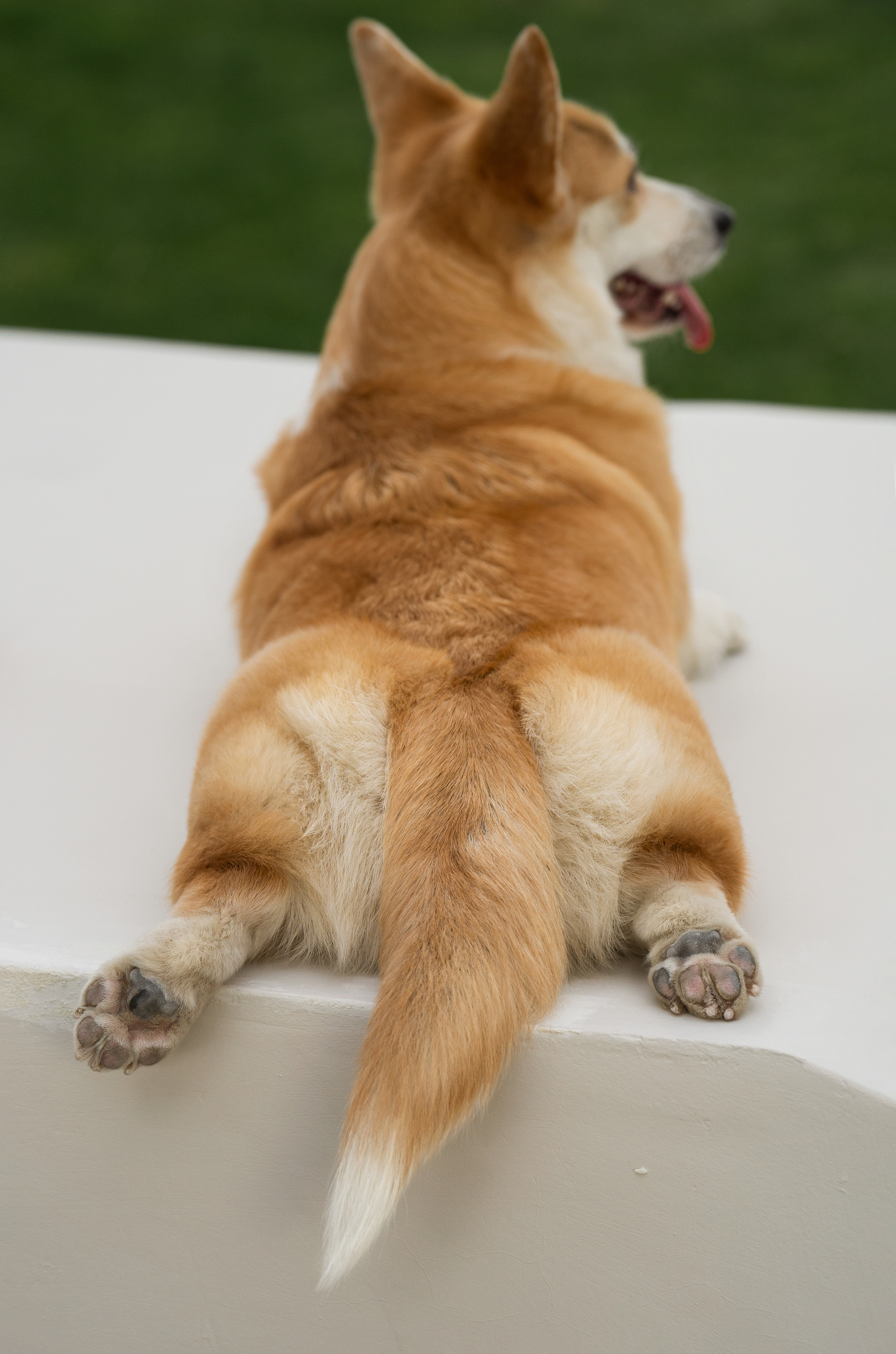 Ева. Фотограф анималист