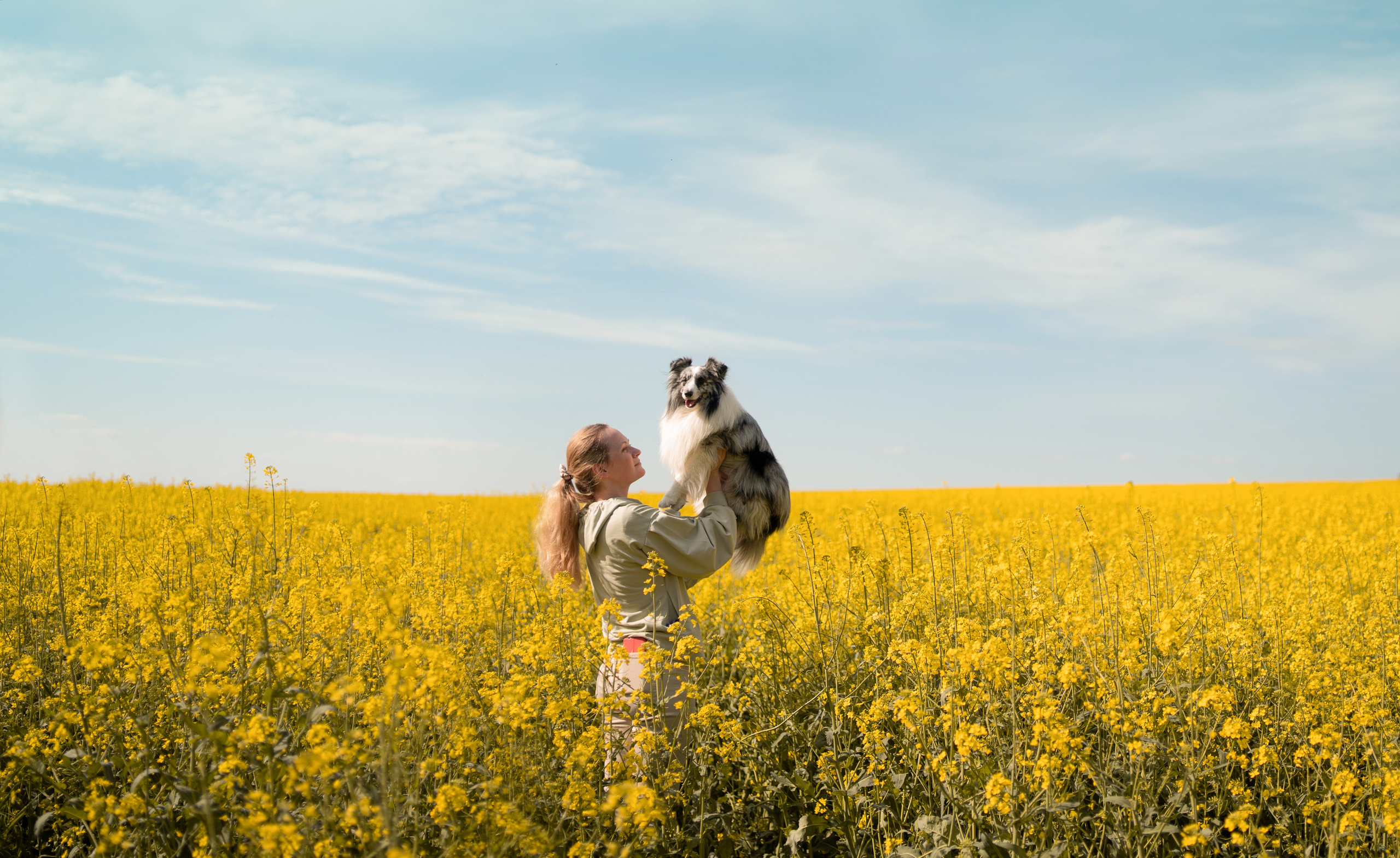 Форрест весна. Фотограф анималист
