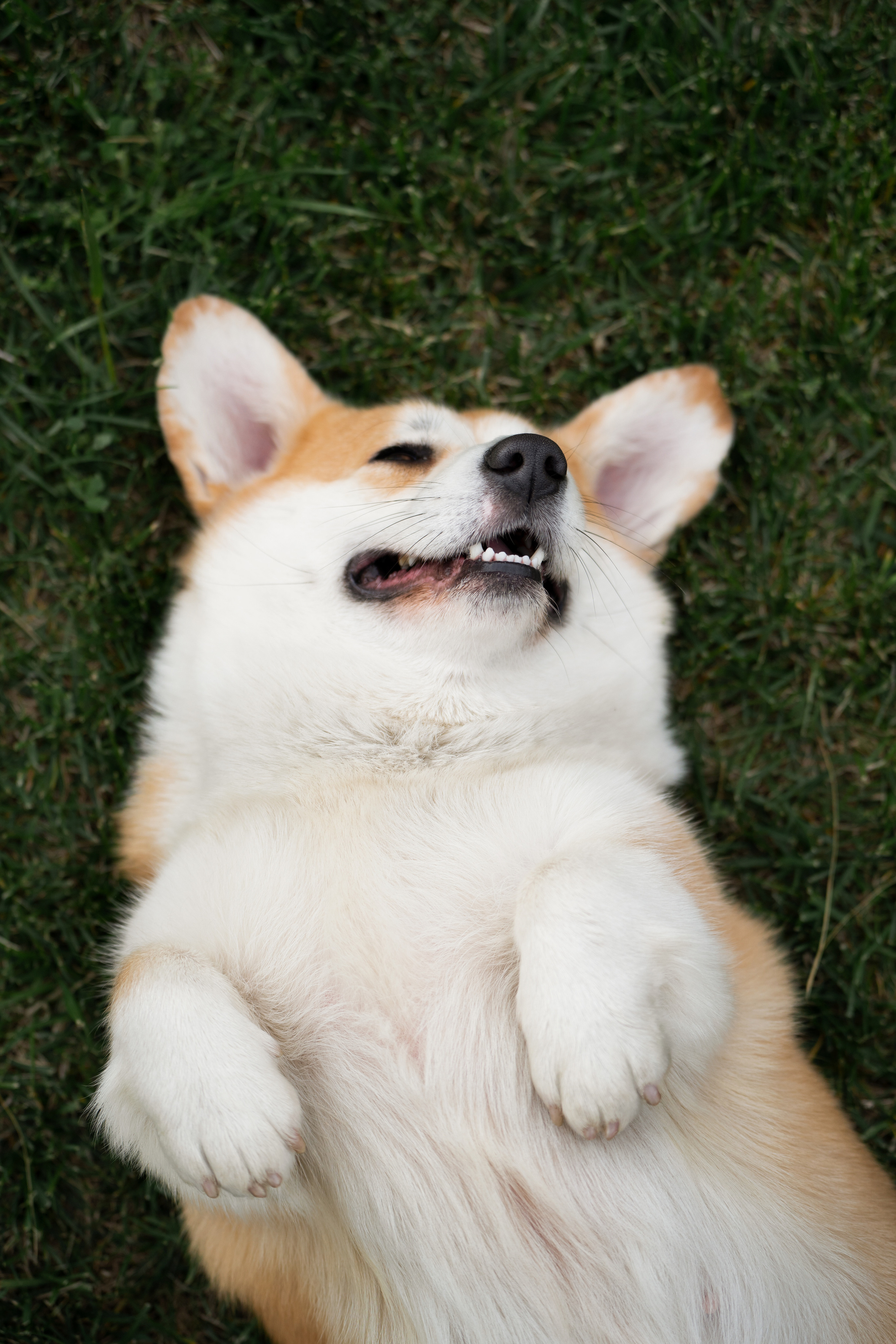 Ева. Фотограф анималист