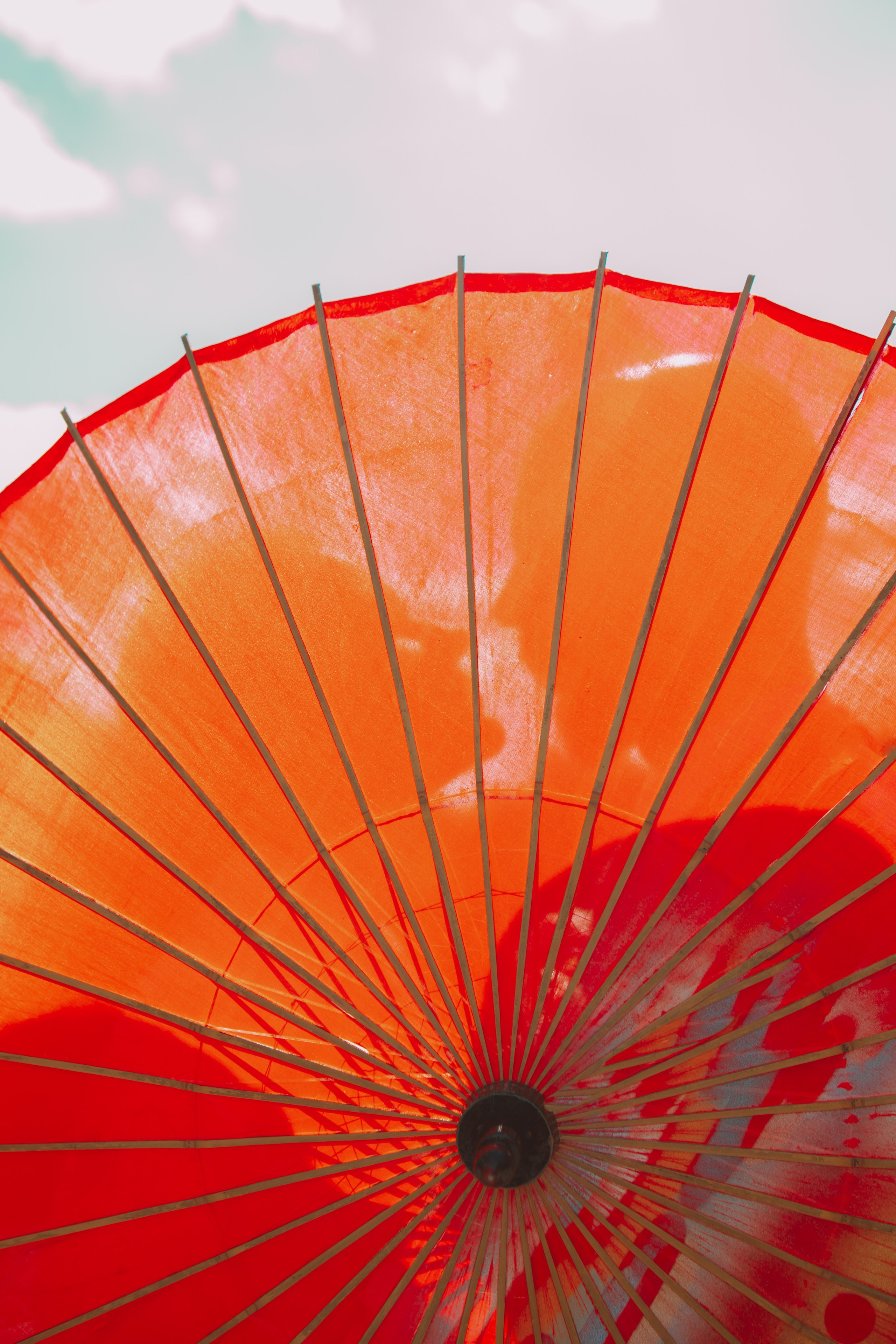 Даша и Лев. Allirubrum