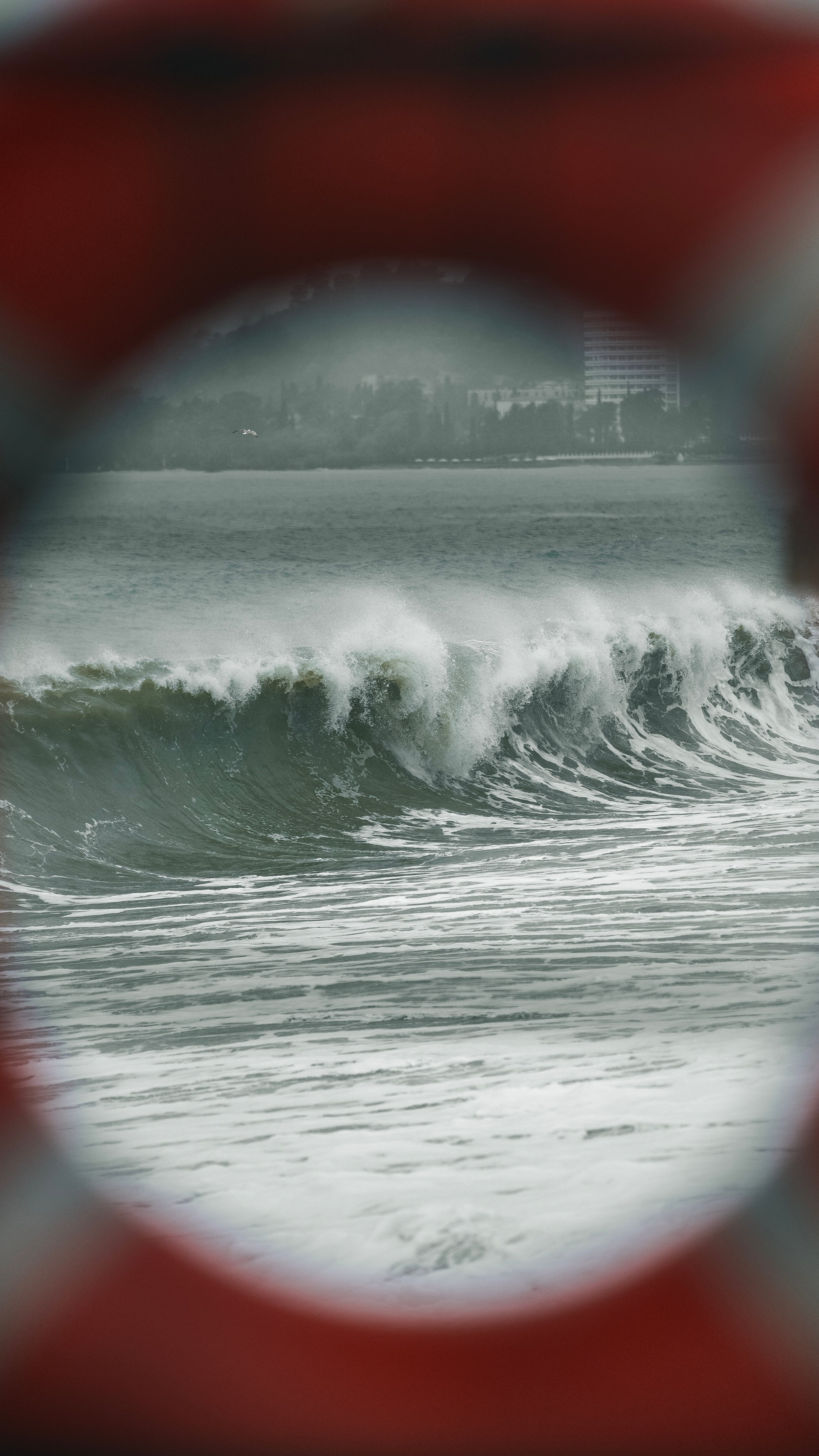 Заставки. Главная