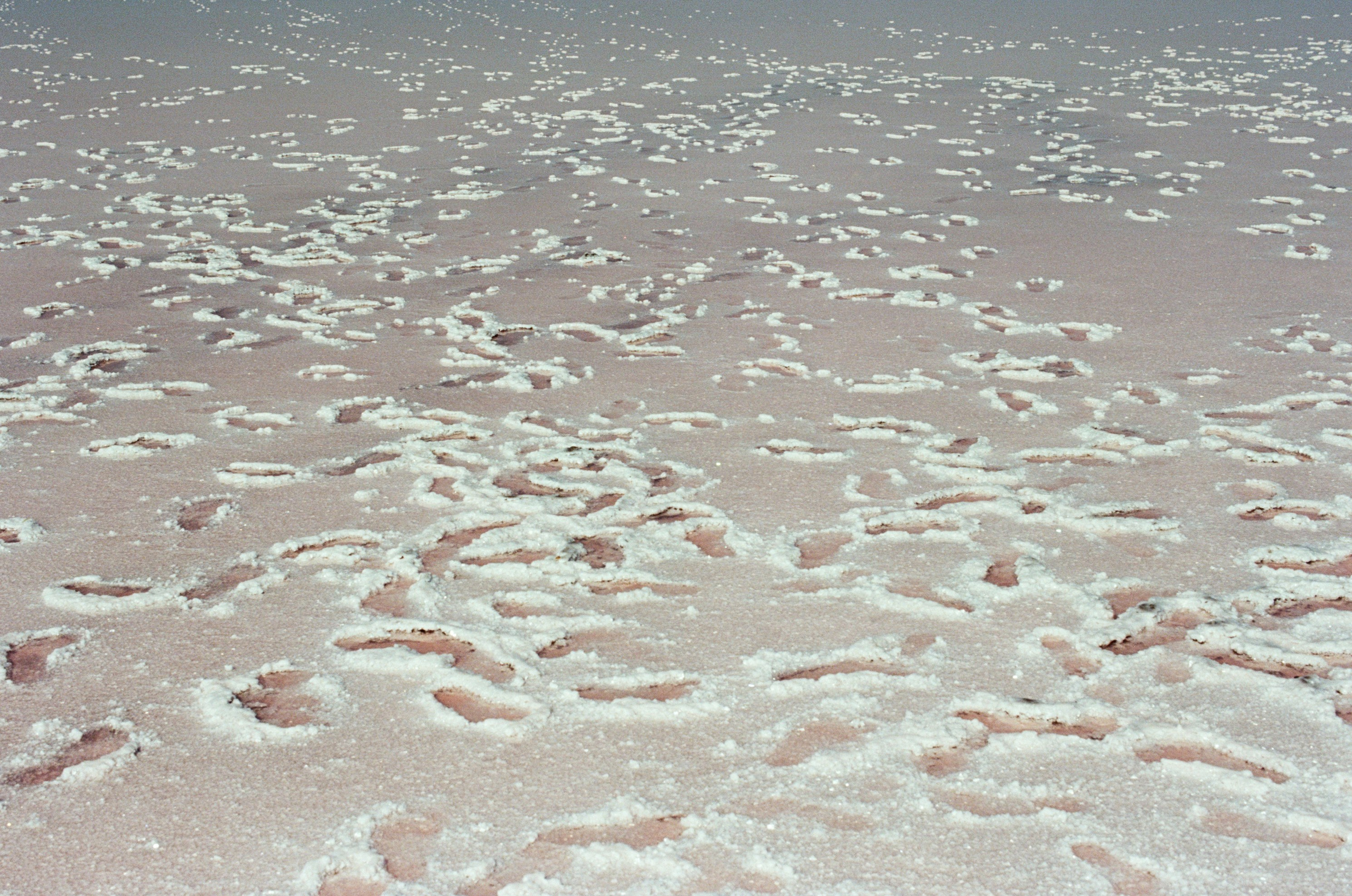 Dig it // ukraine, crimea VIII. EVER EXPOSED