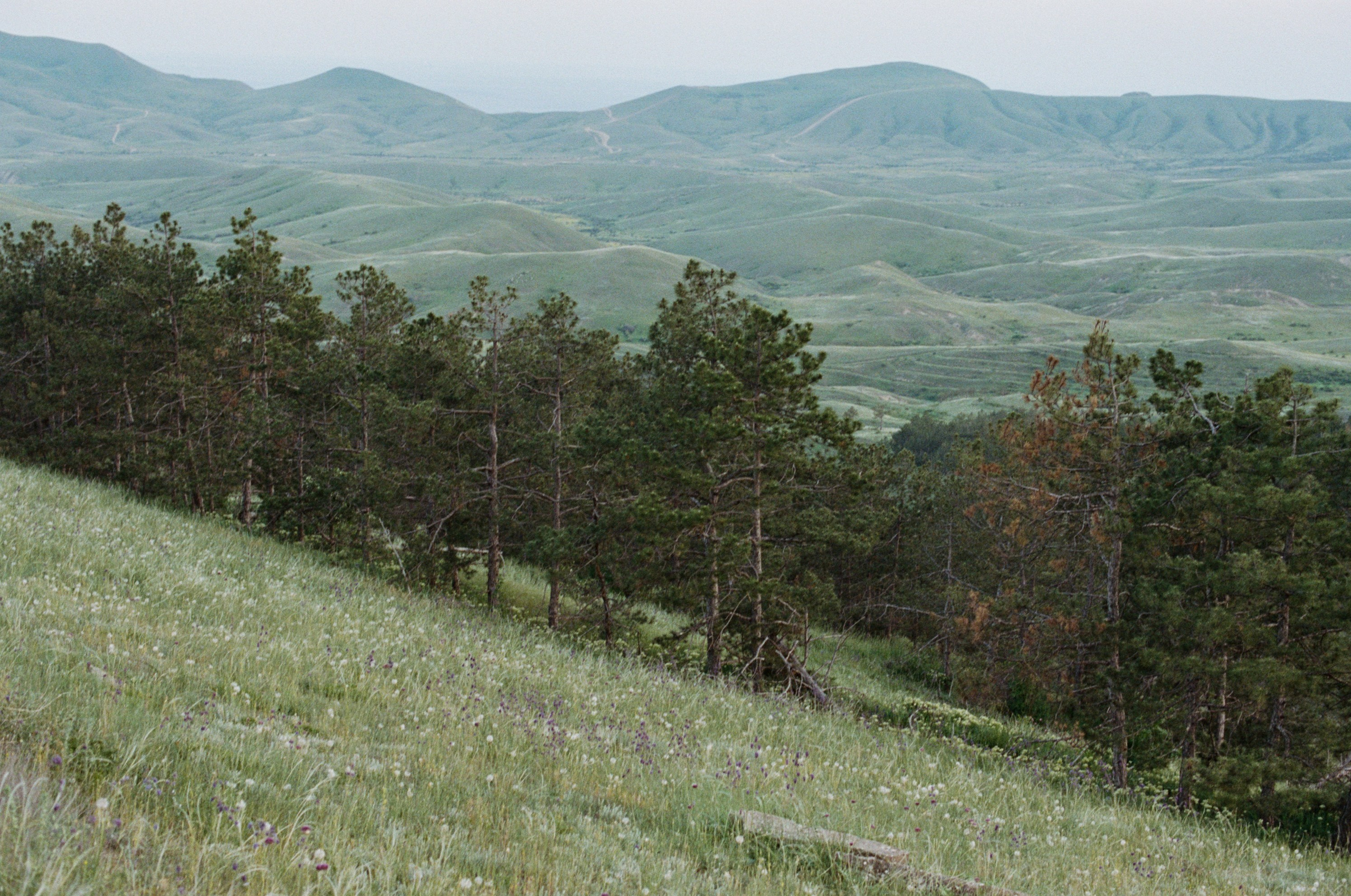 Champagne supernova // ukraine, crimea. EVER EXPOSED