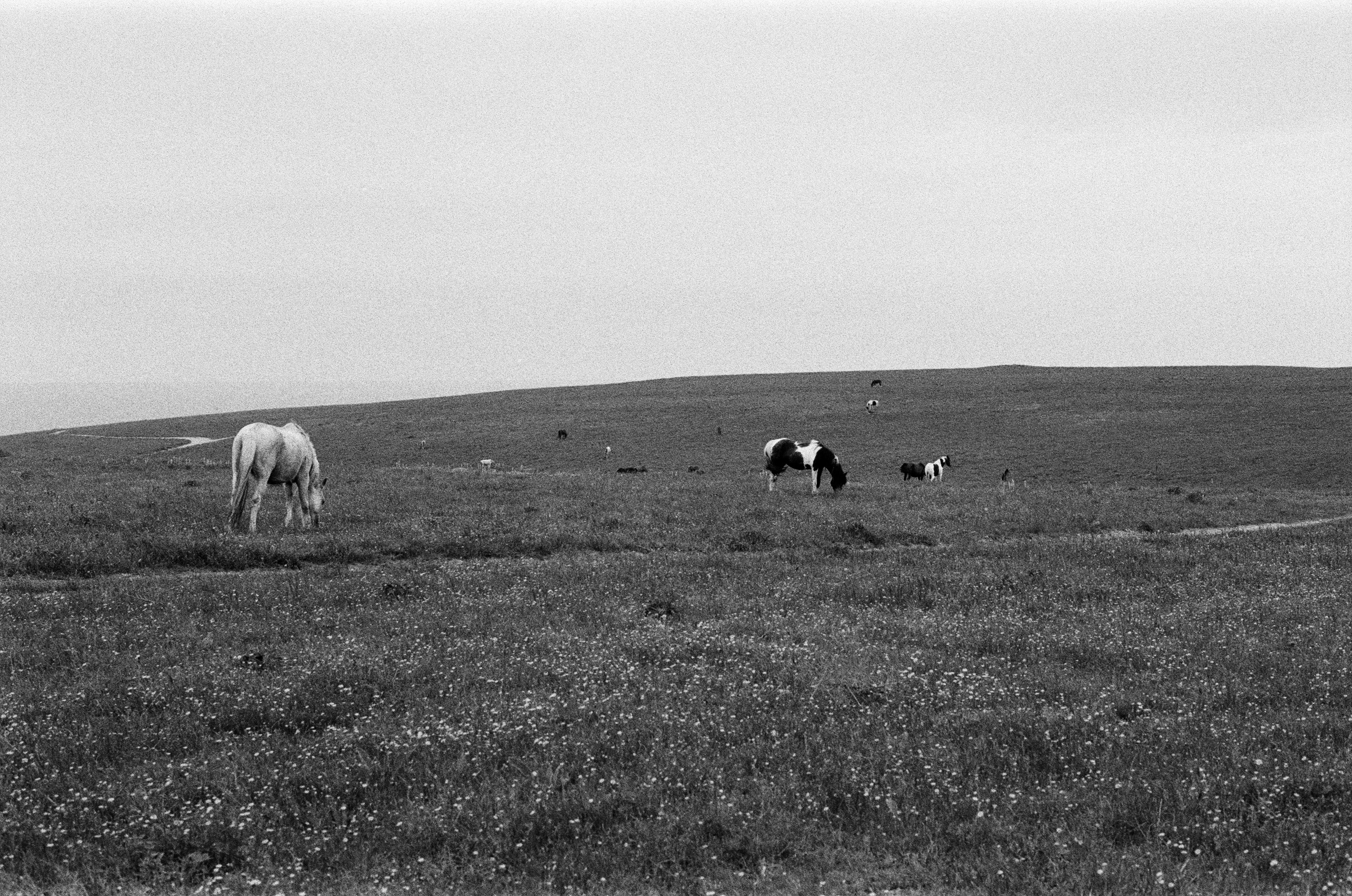 Move me // ukraine, crimea. EVER EXPOSED