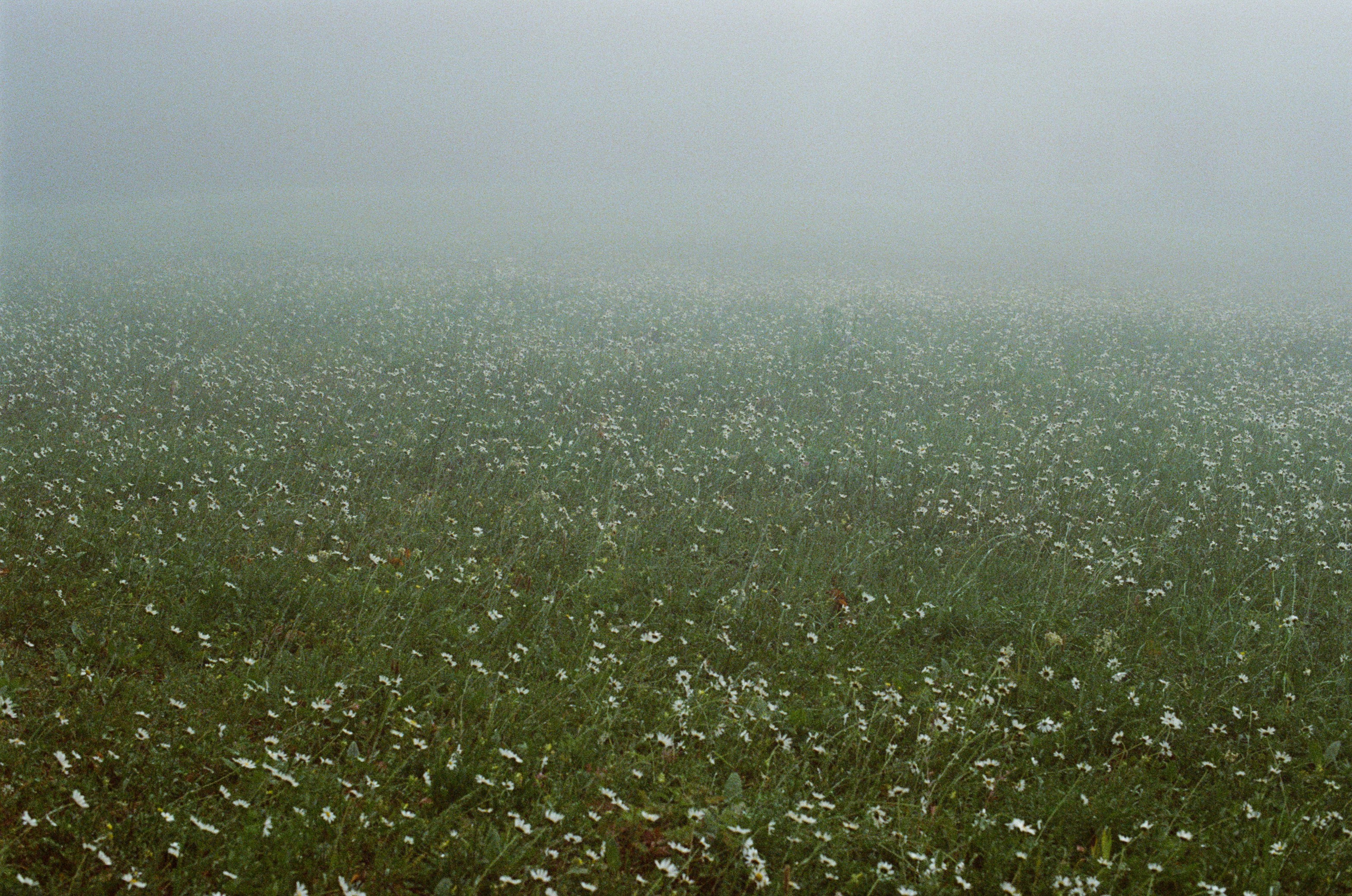 Dig it // ukraine, crimea II. EVER EXPOSED