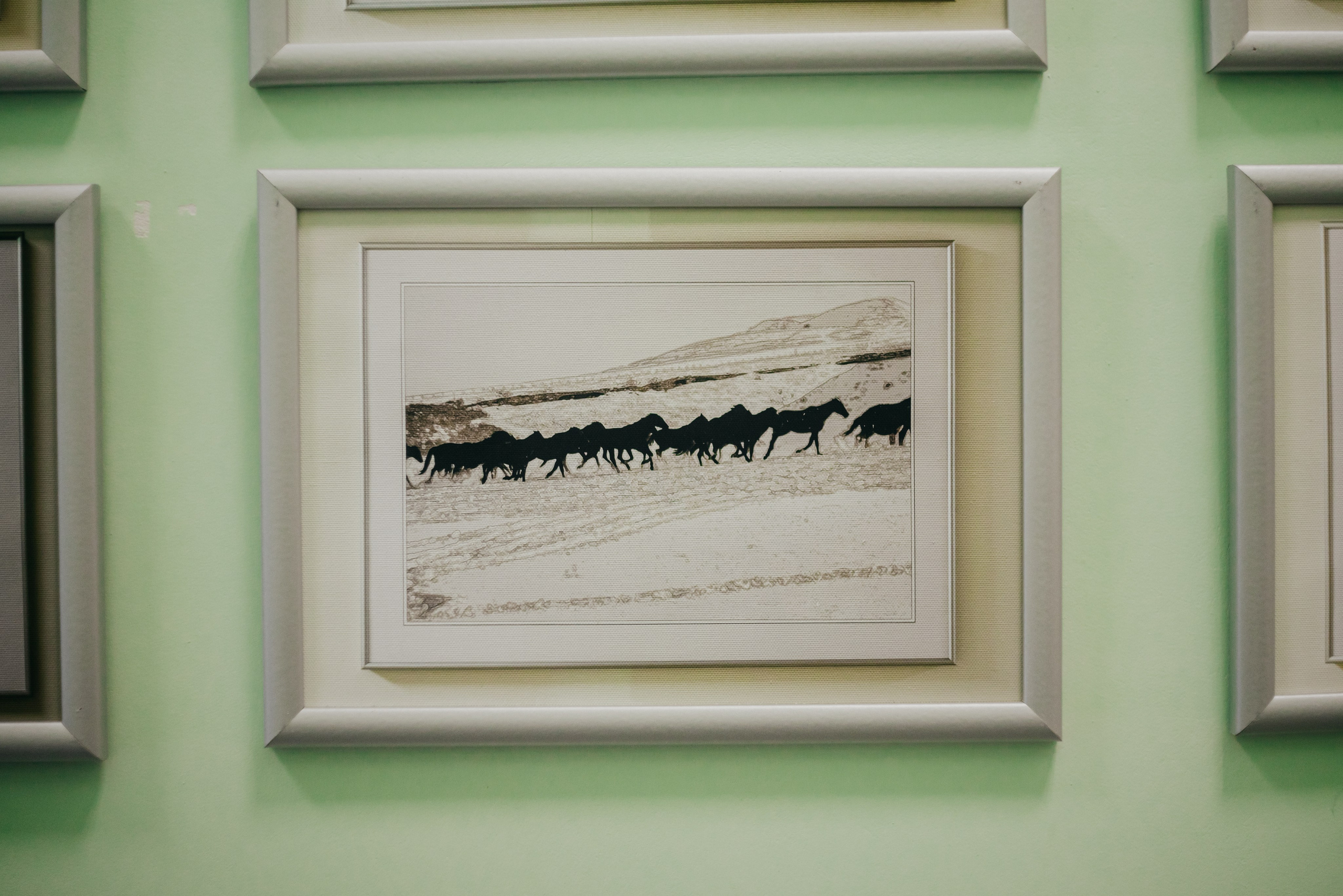 От работы кони дохнут. Лера Круглова