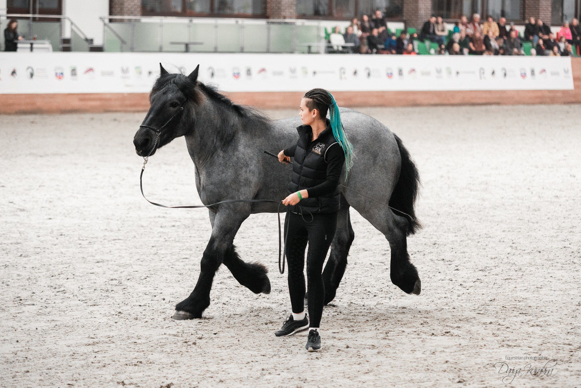 8-я международная выставка Конная Россия. Конный фотограф Куракина Дарья • Фотосессии с лошадьми