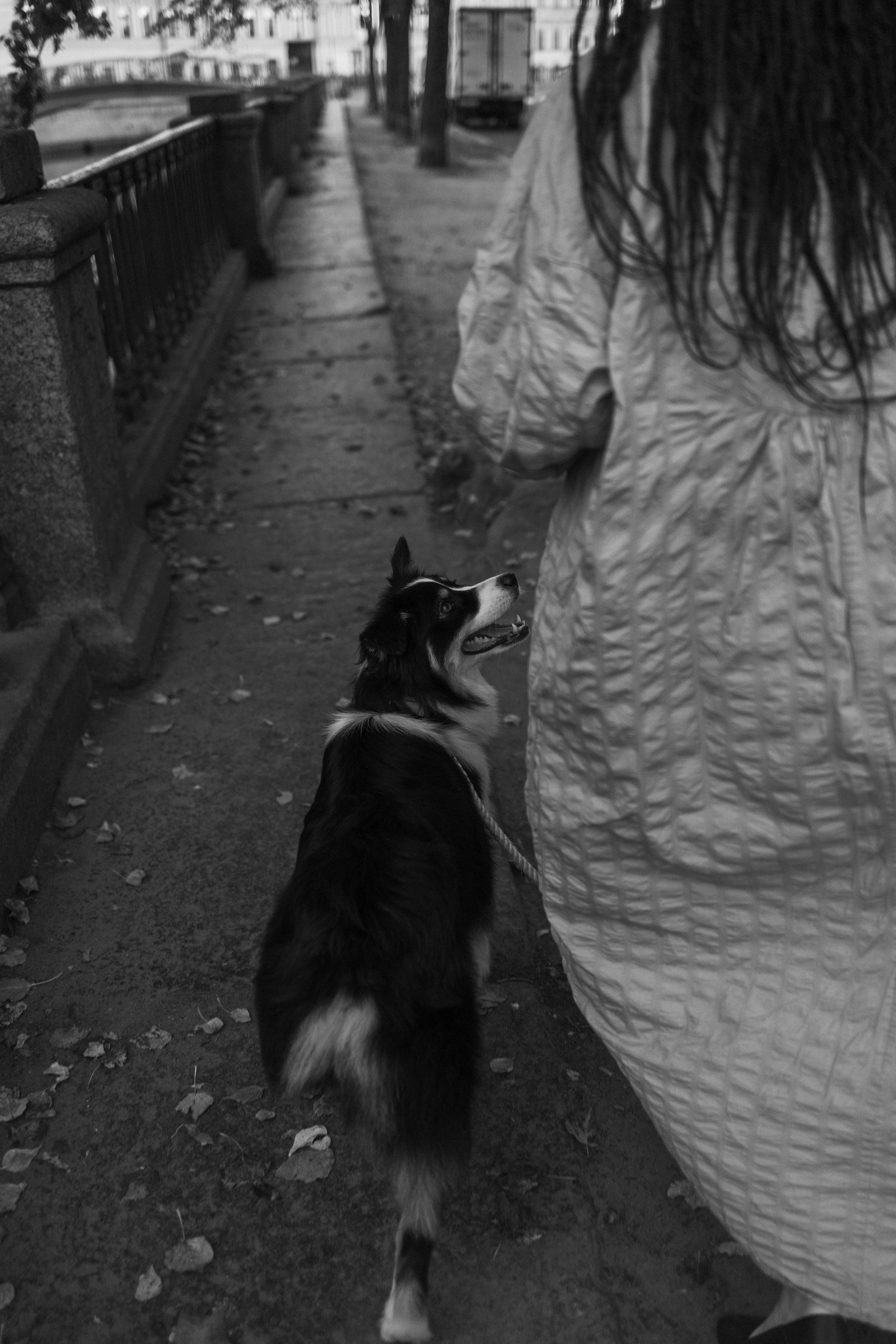 Катя и ее девочки. Фотограф — Анималист | Санкт-Петербург