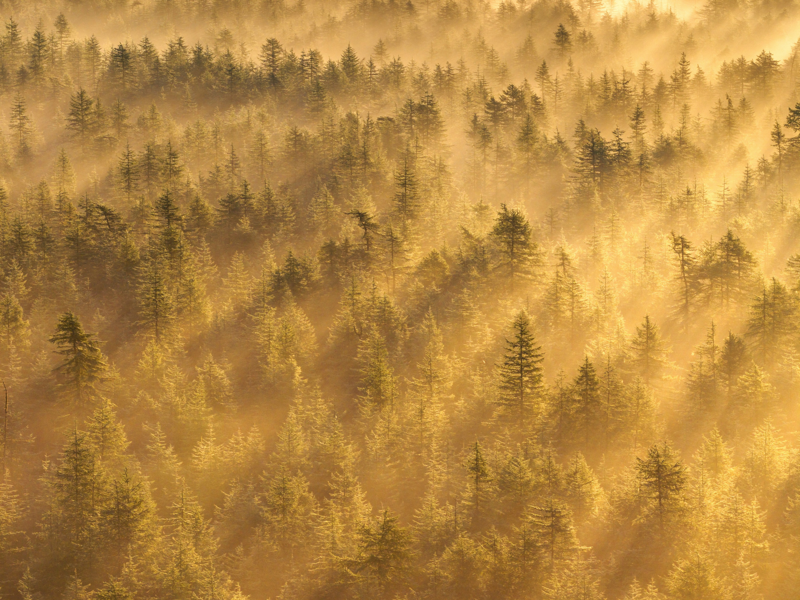 Экспедиция на Колыму