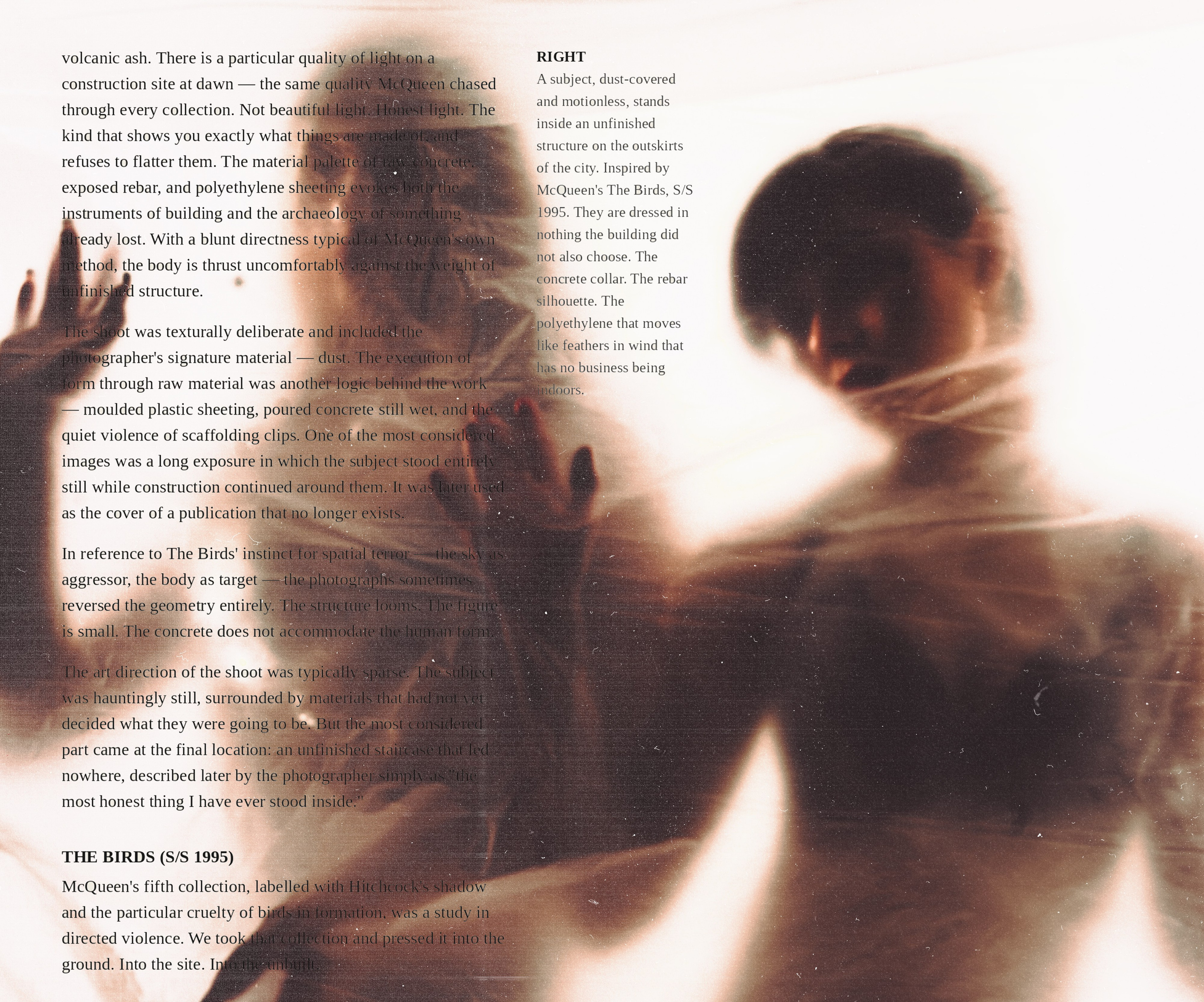 The birds inspiration. Фотограф Тимур Хайруллин