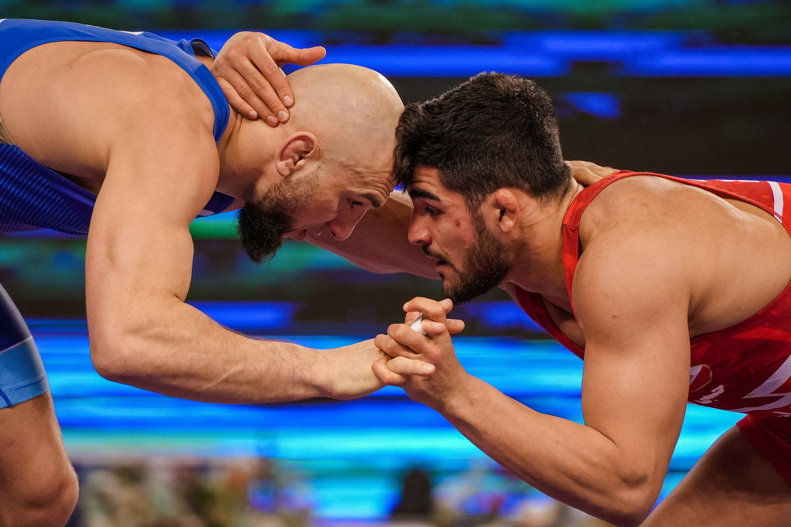 Кубок Ивана Ярыгина 2024 фото / Ivan Yarygin Cup 2024 photos. Фотограф Анна Герман. Красноярск