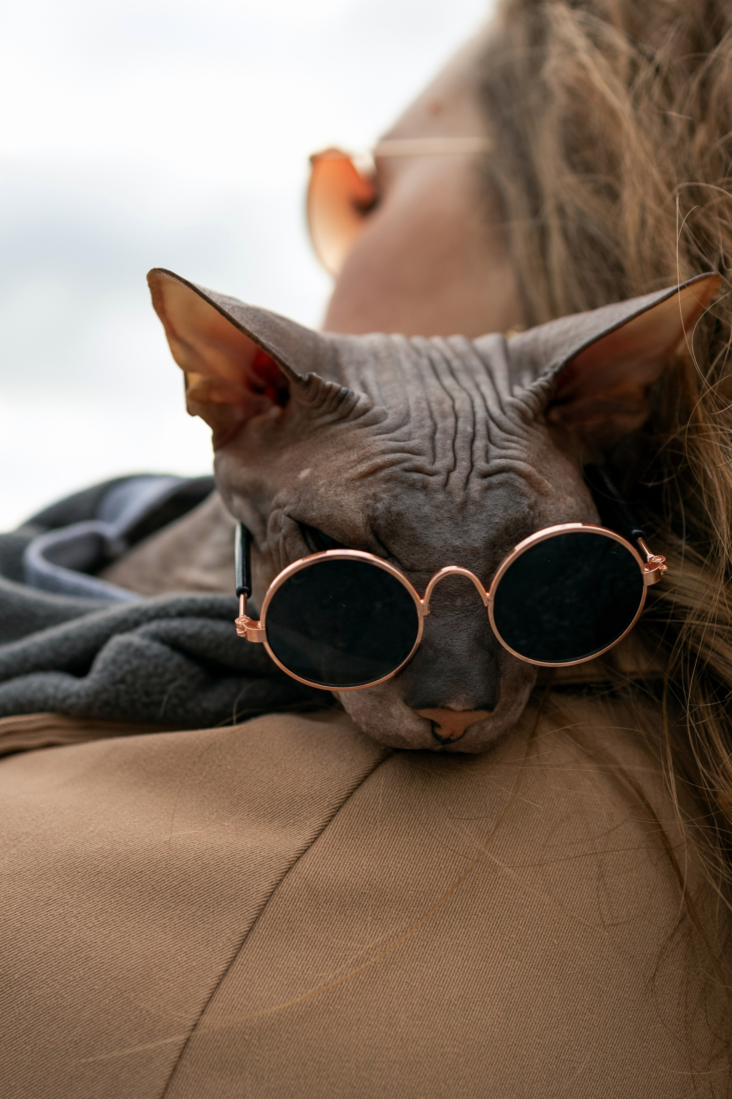 Пётр, Мария и кот Рич. Портретный фотограф и Love story в Сочи