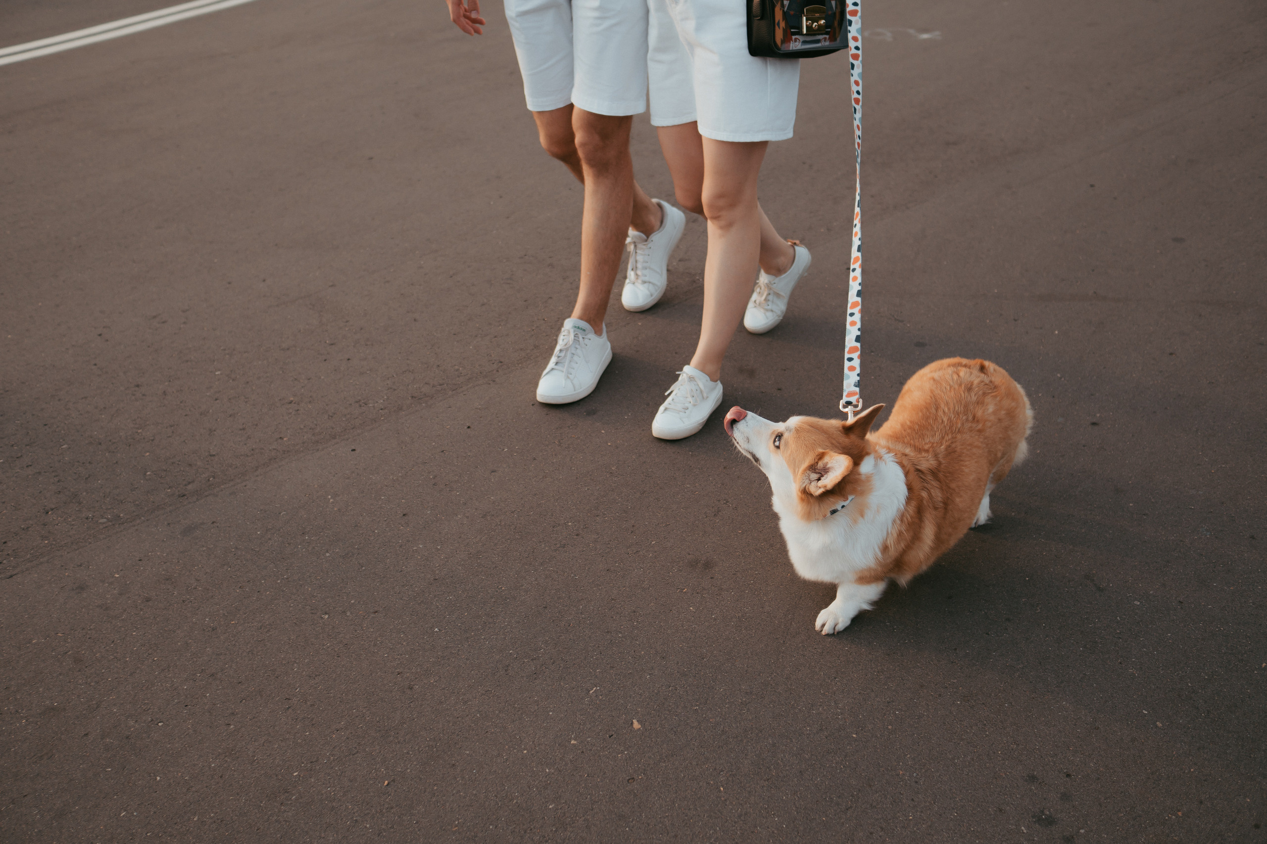 Евгений и Валерия. Свадебный фотограф в Москве