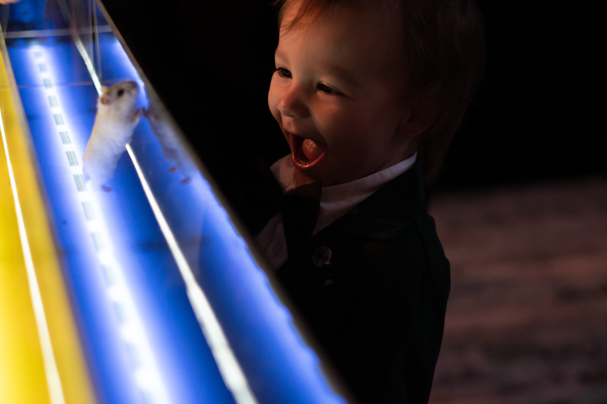 Илья и Валерия. Свадебный фотограф в Москве