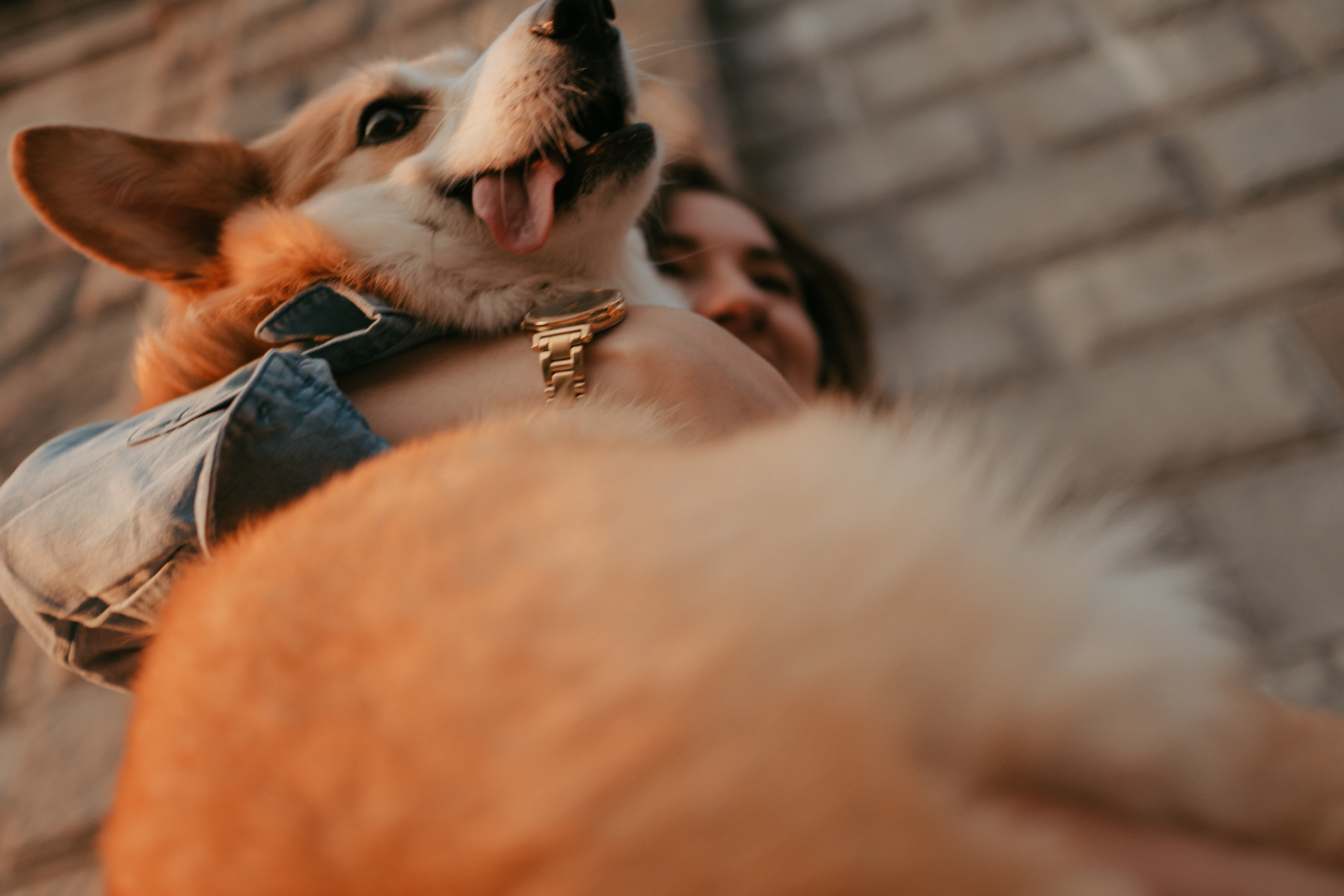 Евгений и Валерия. Свадебный фотограф в Москве