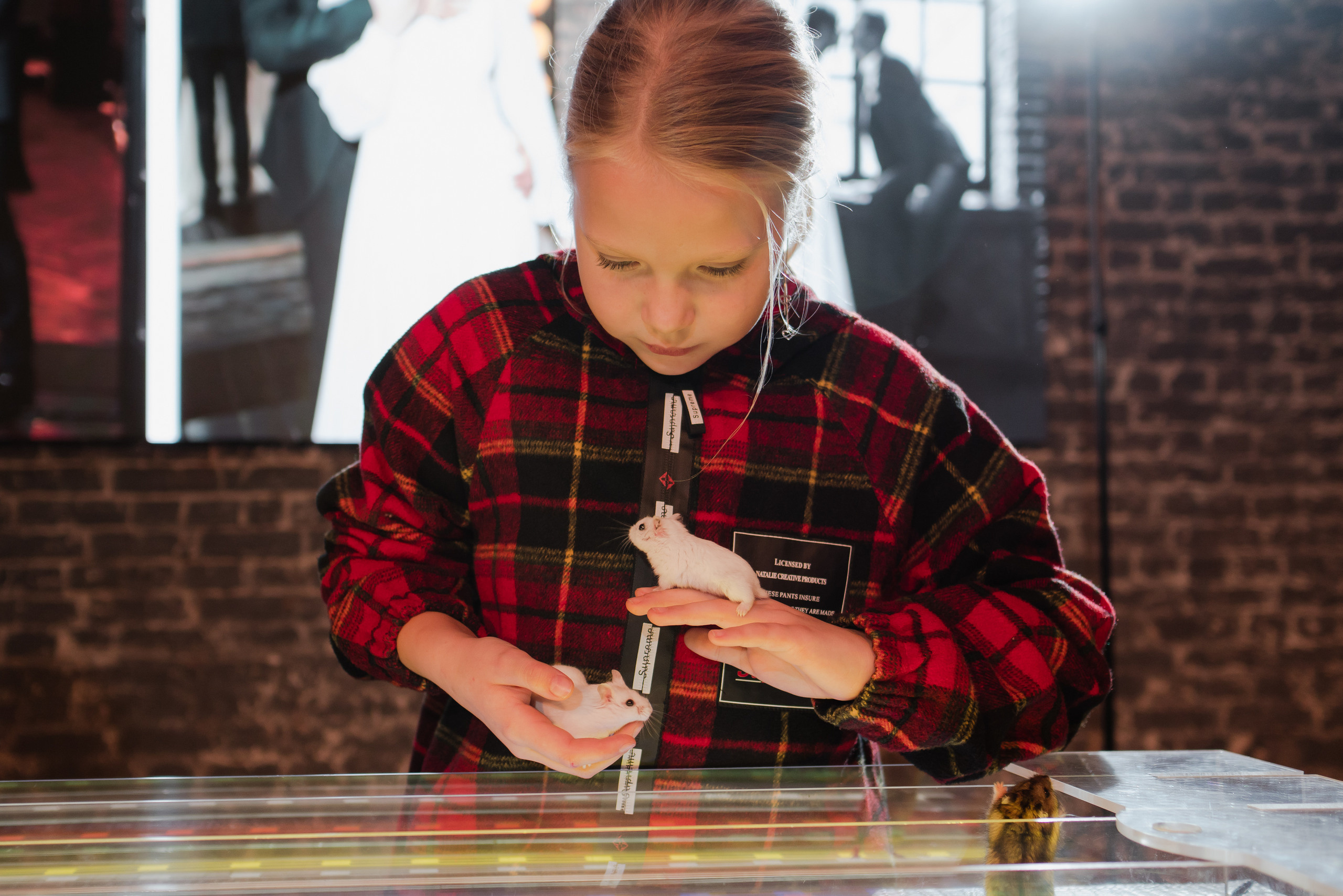 Илья и Валерия. Свадебный фотограф в Москве