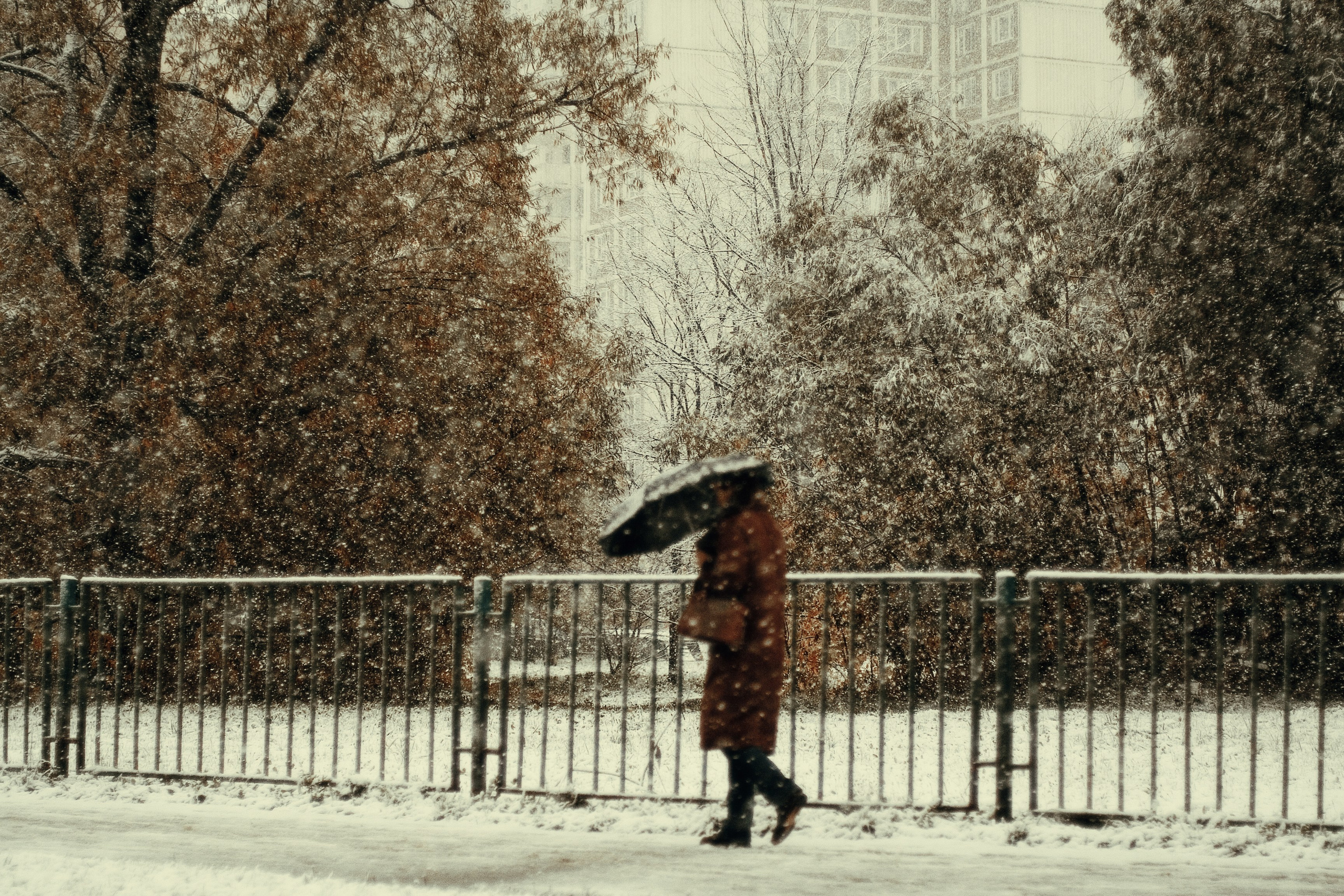 Арт-фото. Михаил Данилов | Фотограф