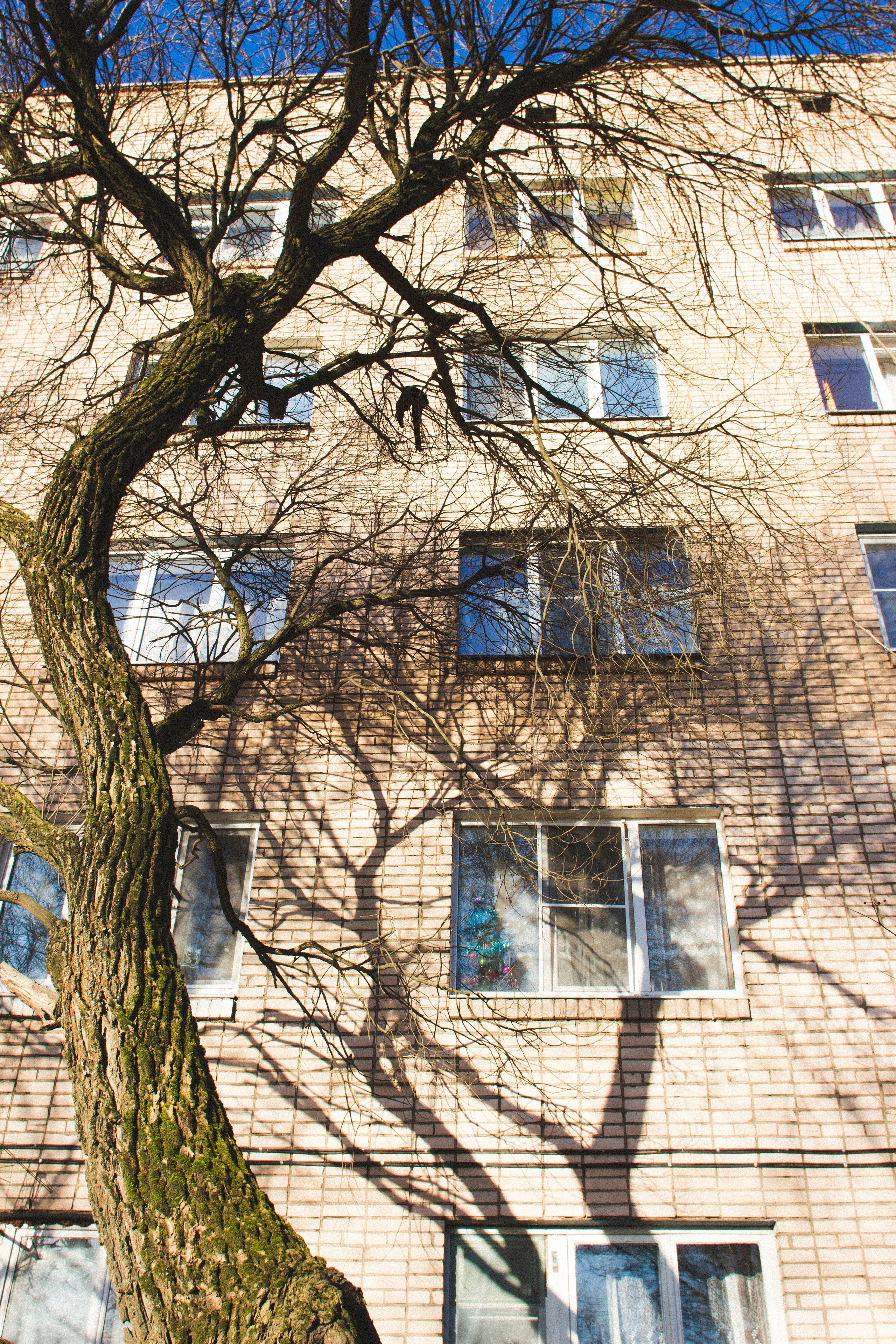Великий Новгород. Фотограф Адигамова Юлия в Петербурге