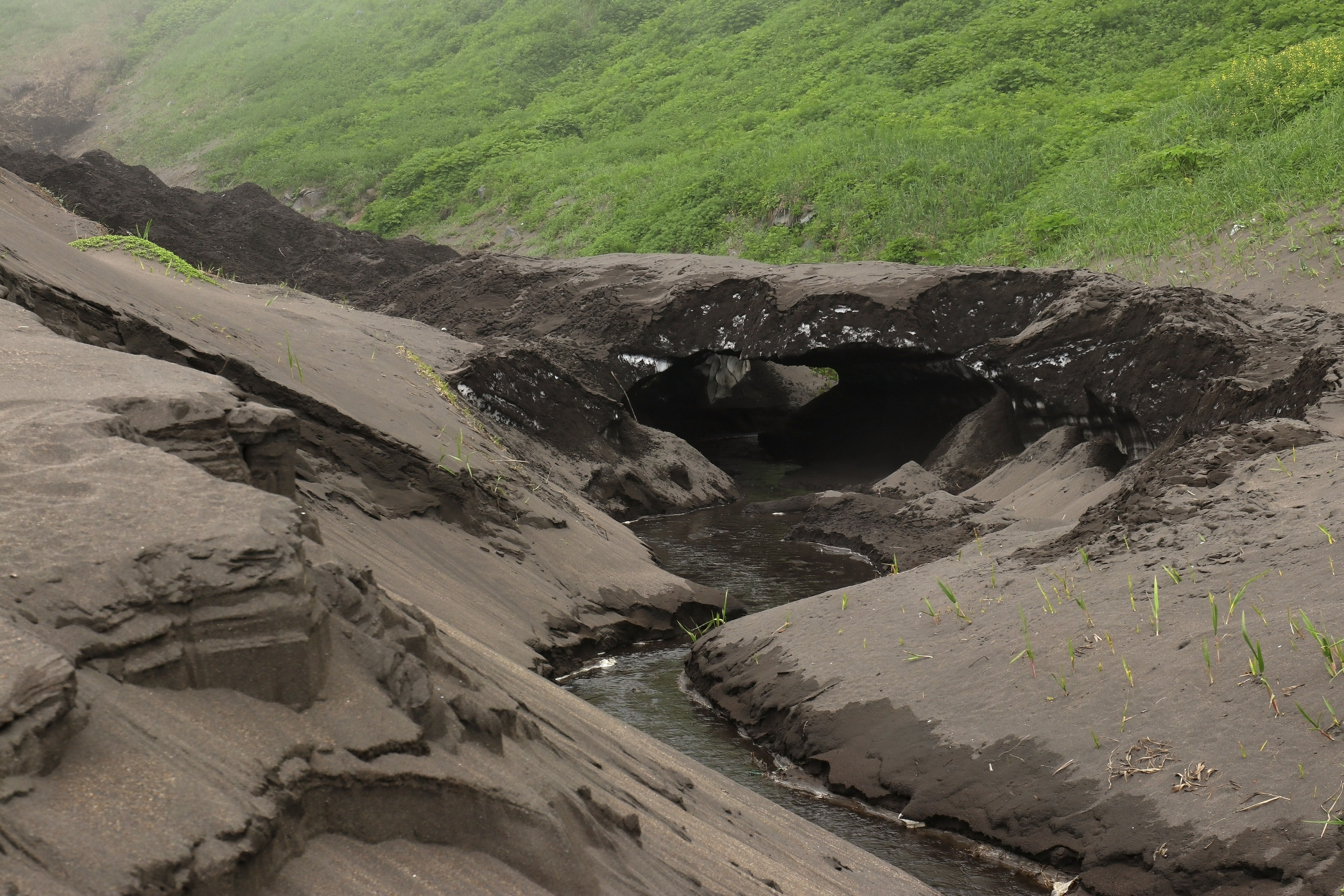 Камчатка и о. Парамушир. Июль 2024. Путешественник-фотограф из Санкт-Петербурга Татьяна Свистулина