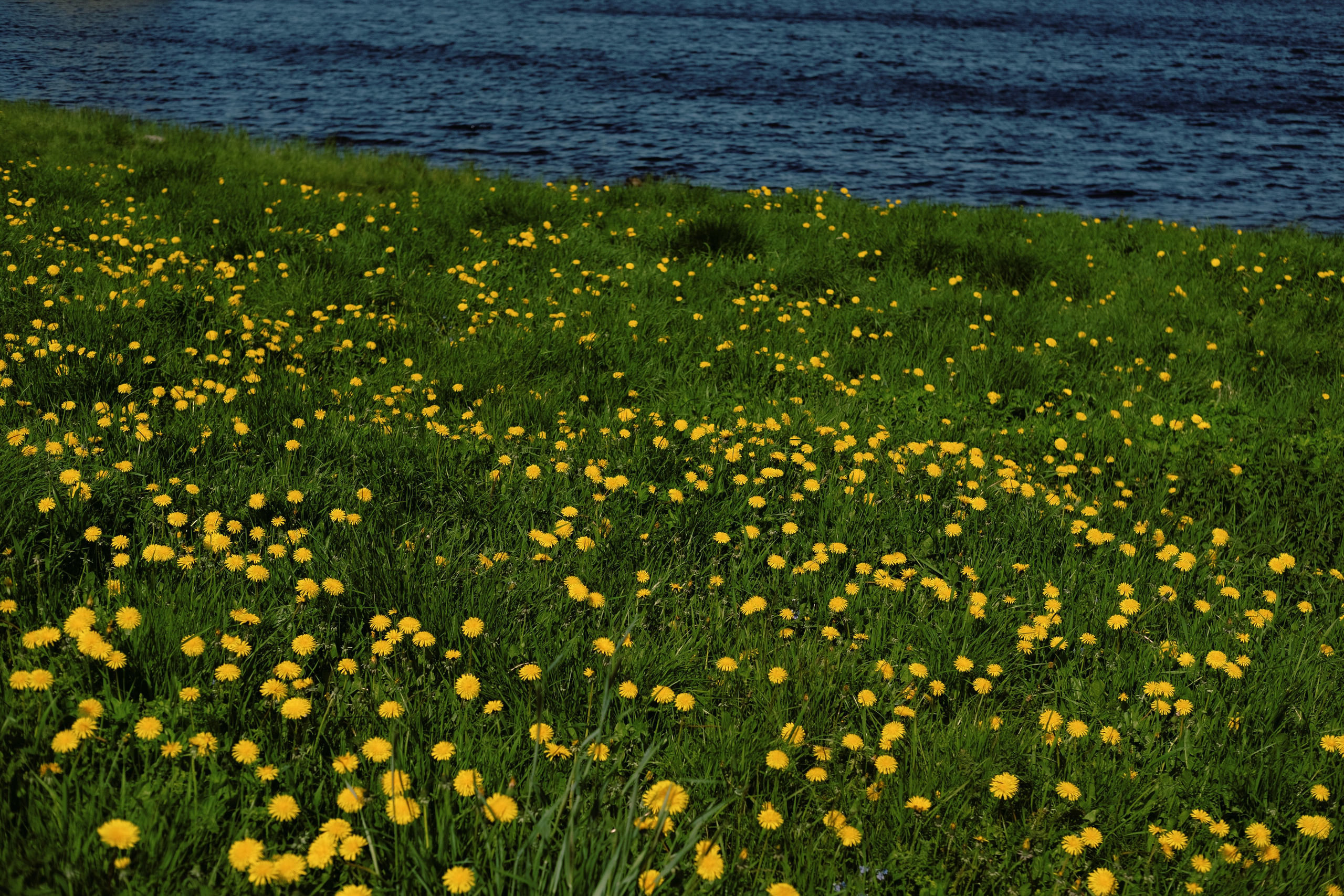 Карелия и Соловецкие острова. Обо мне