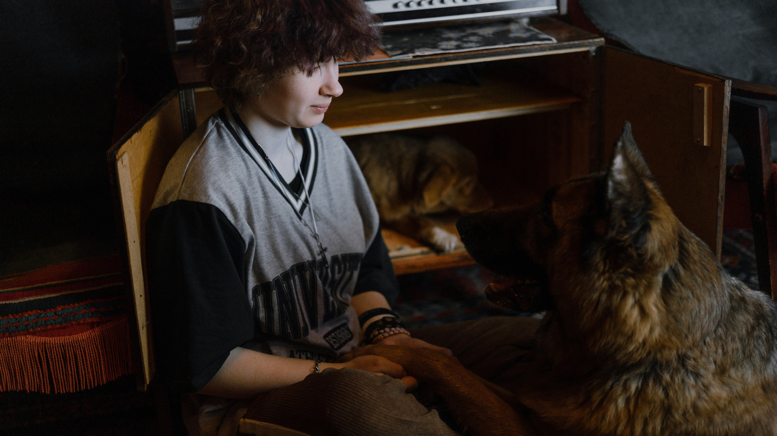 Лера, Реджи и Ральф. Фотограф-анималист Богданова Полина