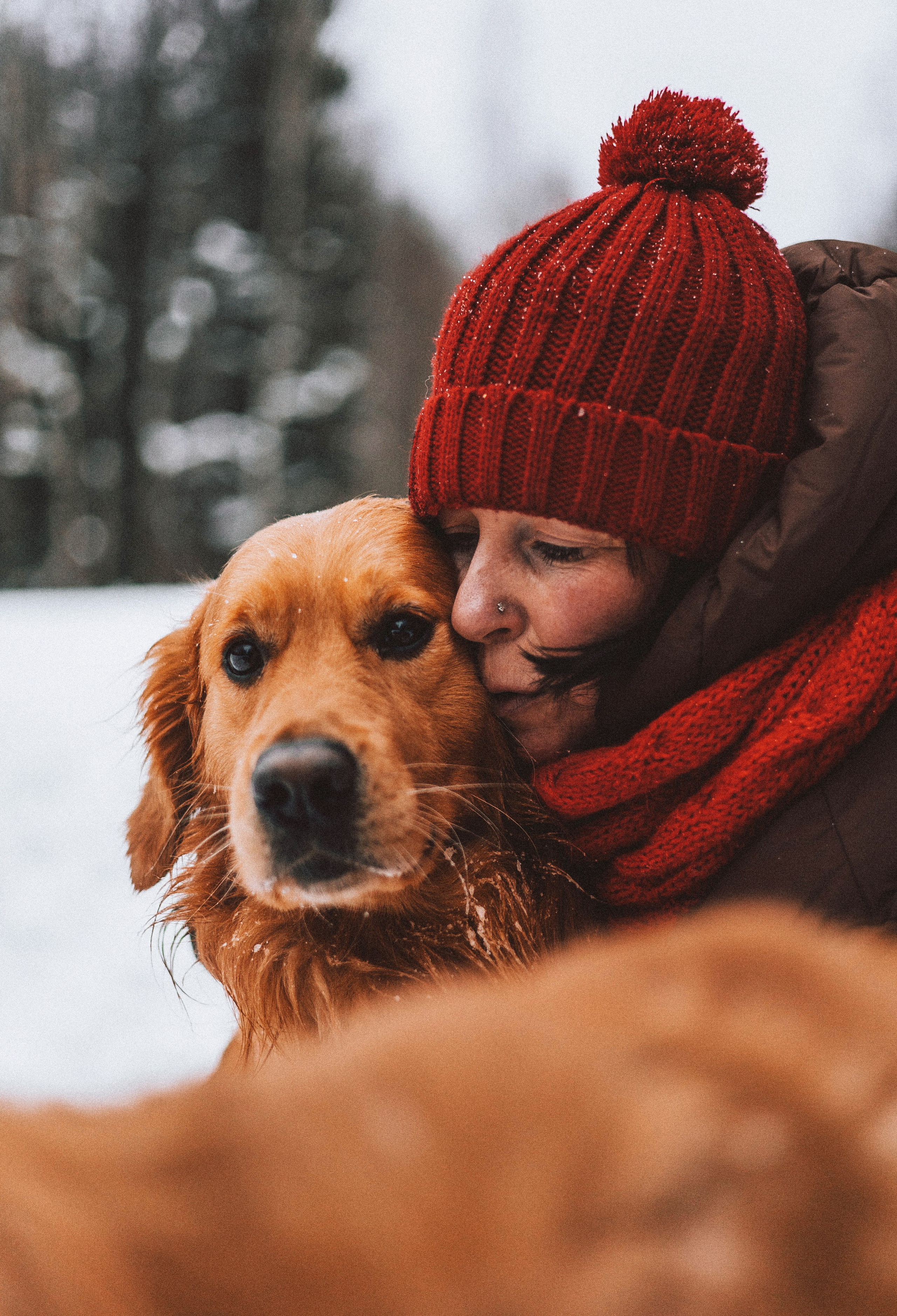 Саша, Юля, Грэй и Джой. Фотограф-анималист Богданова Полина