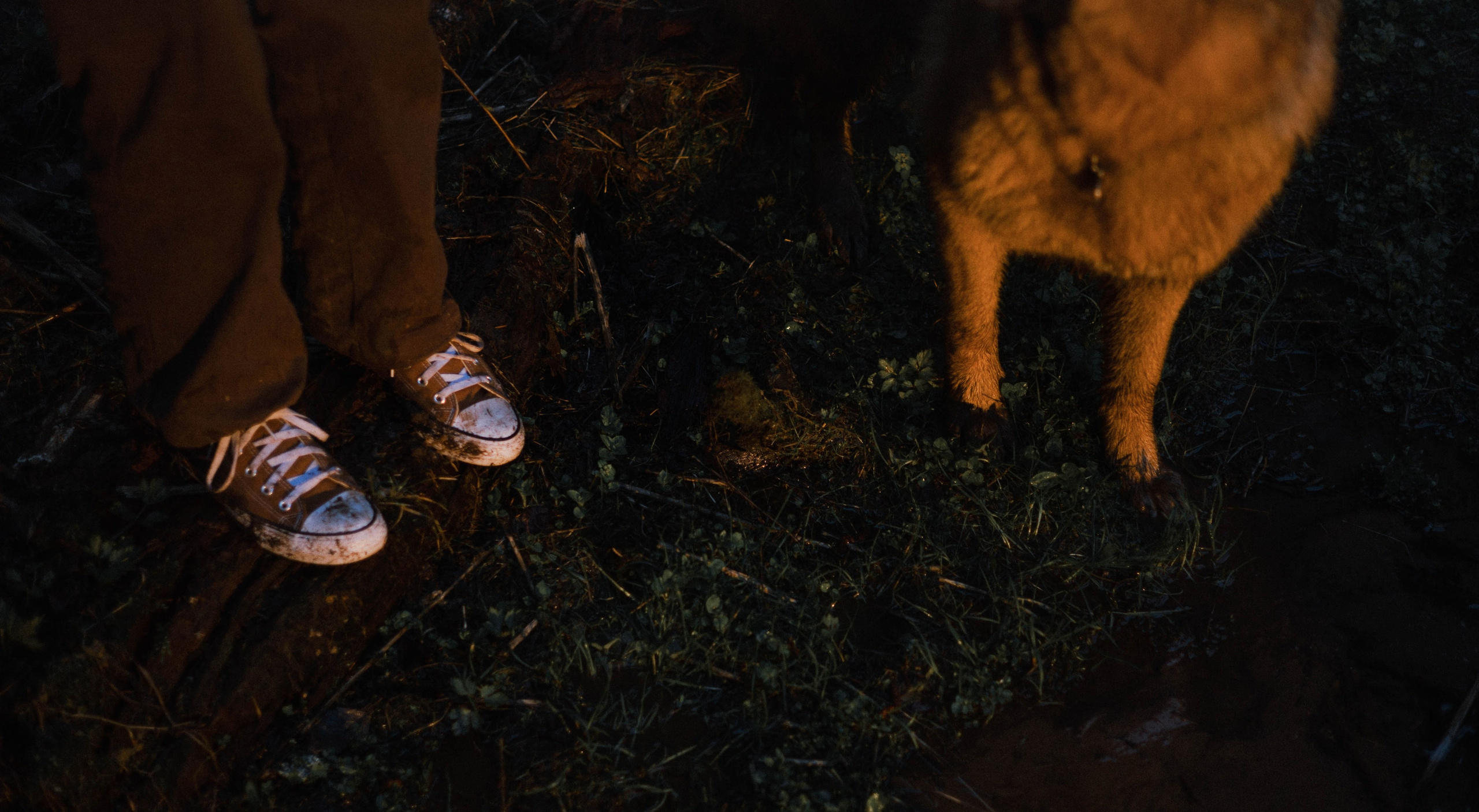 Лера и Ральф. Фотограф-анималист Богданова Полина