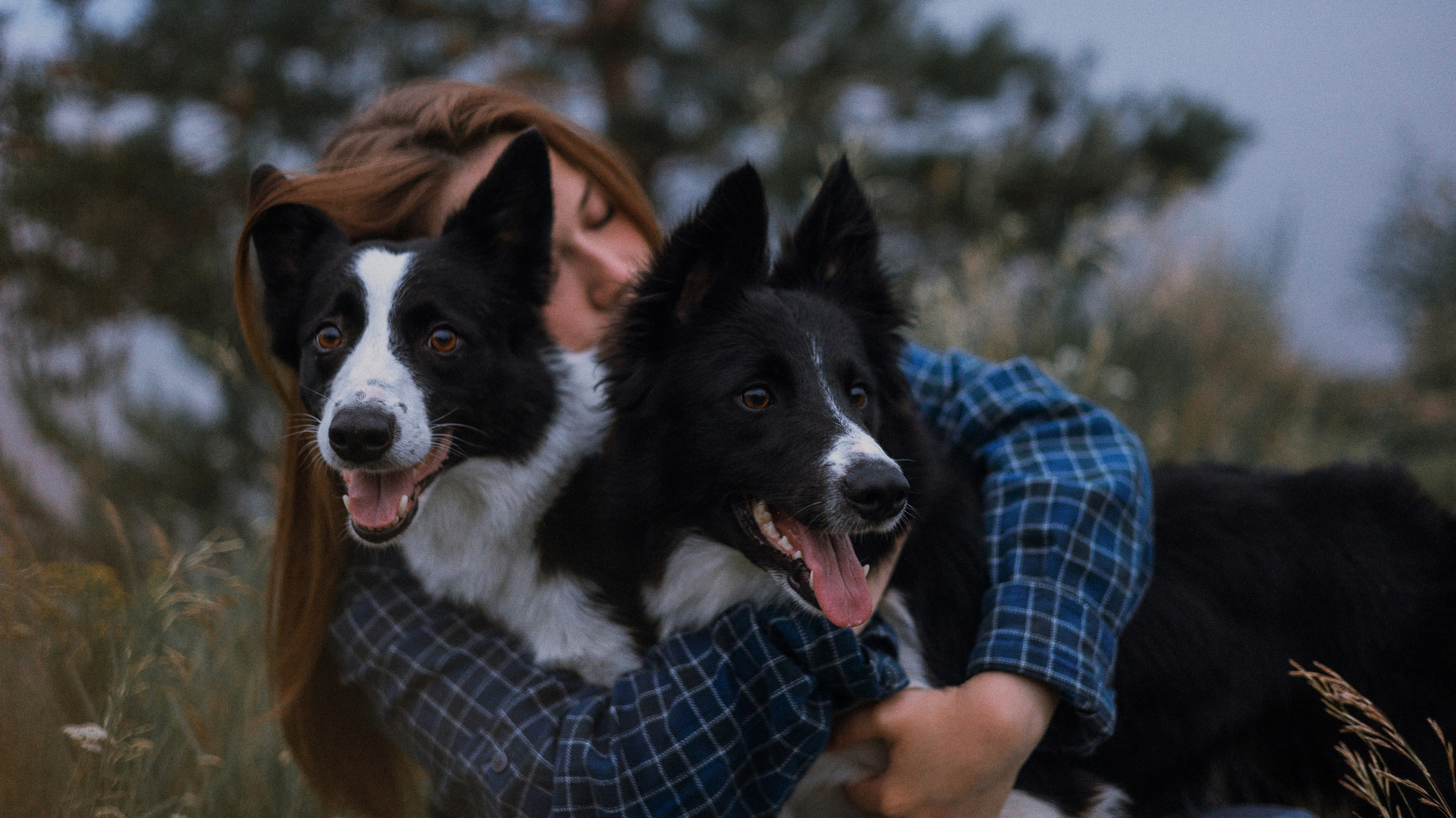 Аделя, Вандер, Шайна и Бая. Фотограф-анималист Богданова Полина