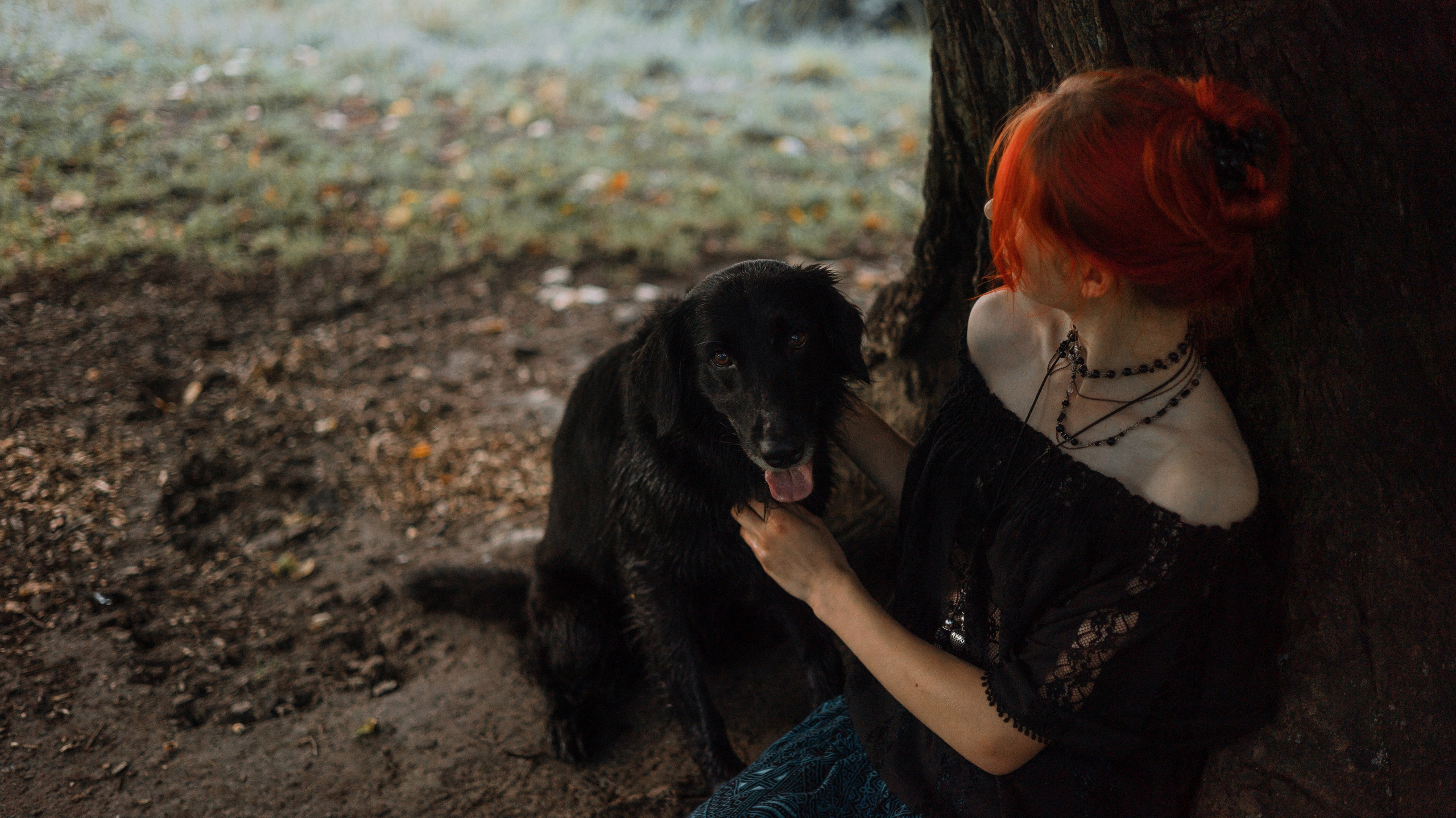 Лиза и Коди. Фотограф-анималист Богданова Полина