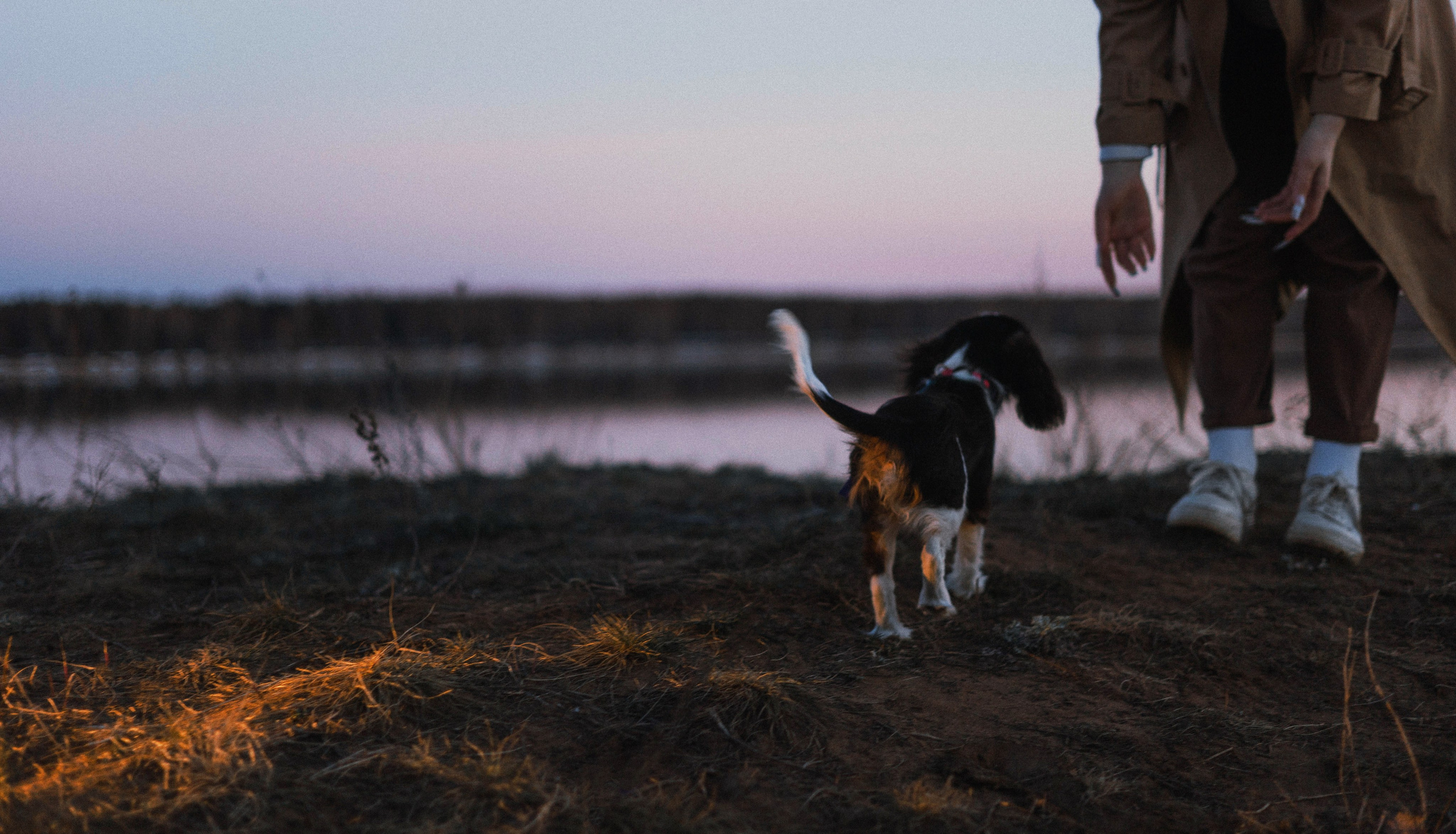 Ангелина и Йен. Фотограф-анималист Богданова Полина