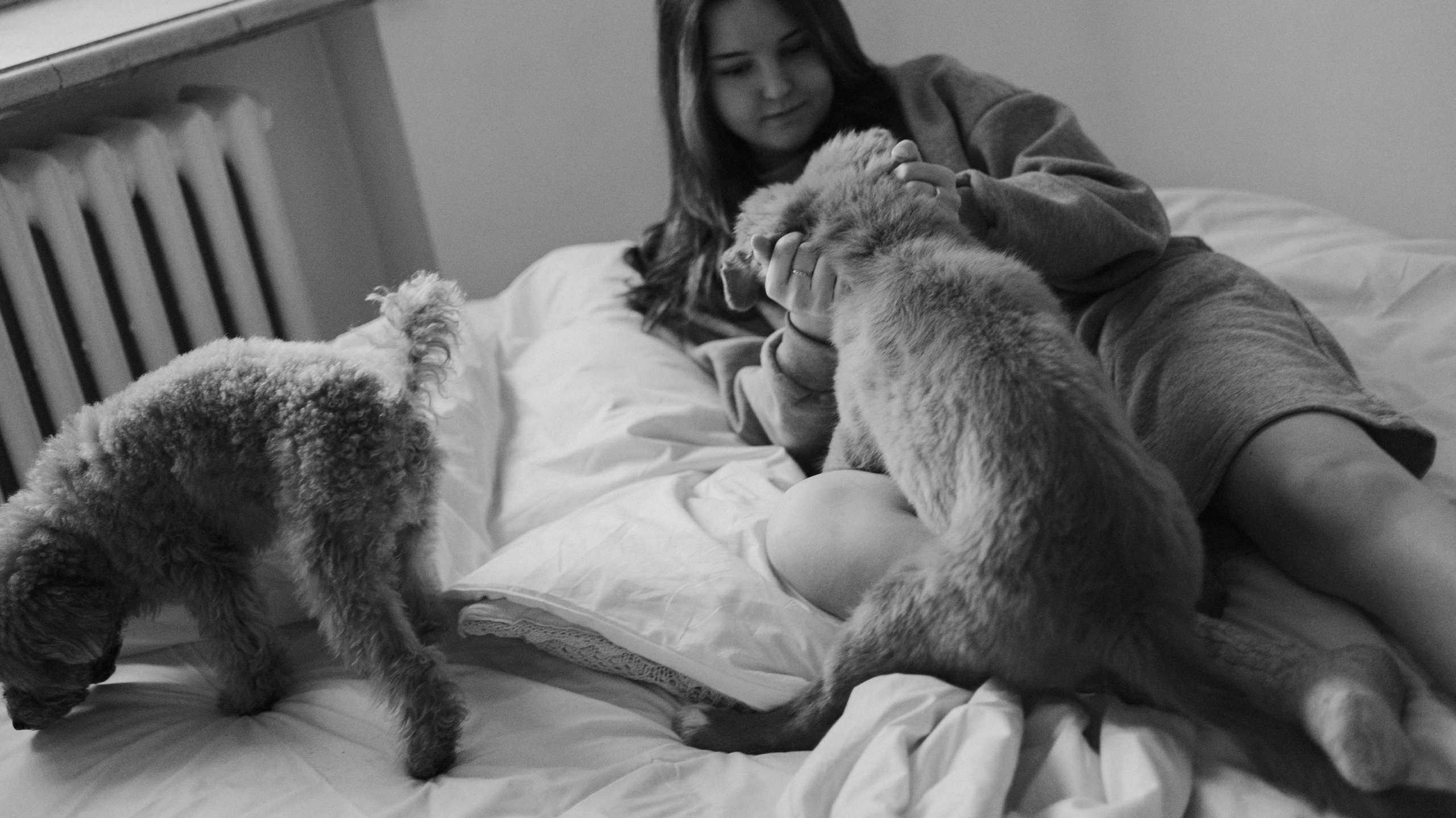 Маша, Одди и Нэвил. Фотограф-анималист Богданова Полина