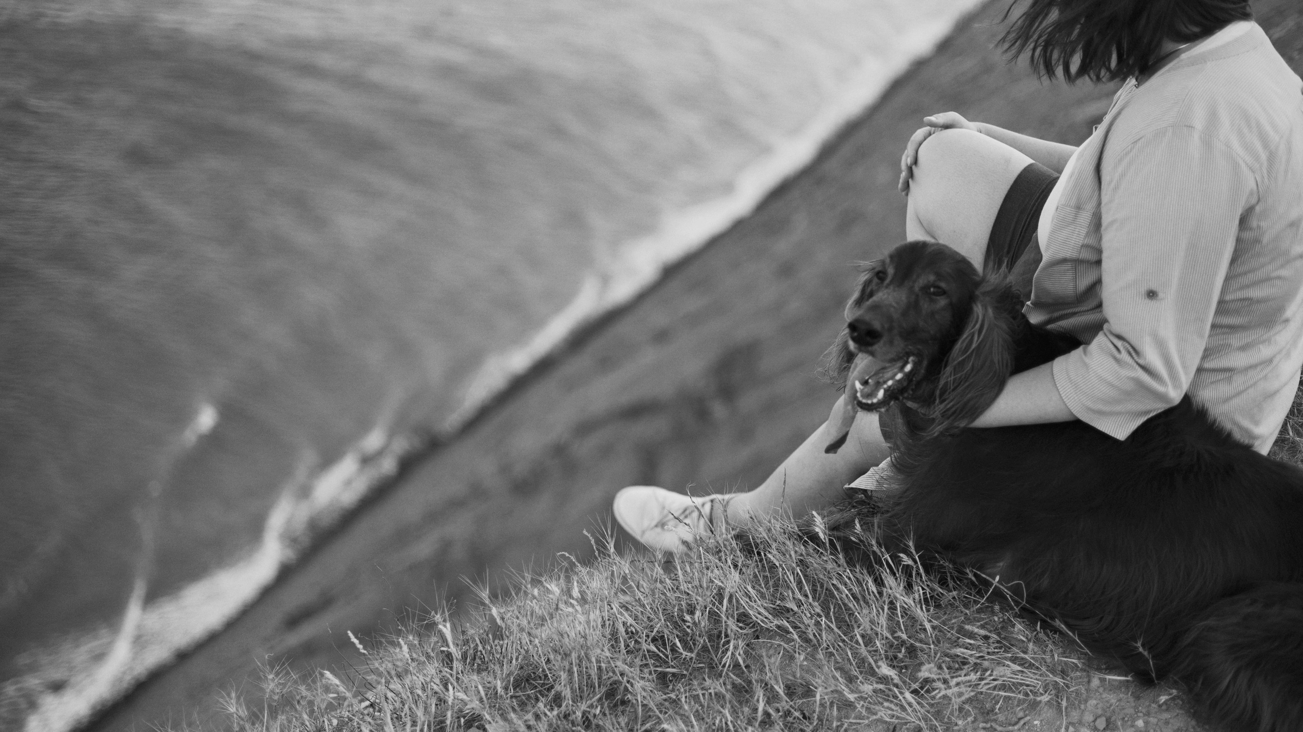 Ольга и Шеймас. Фотограф-анималист Богданова Полина