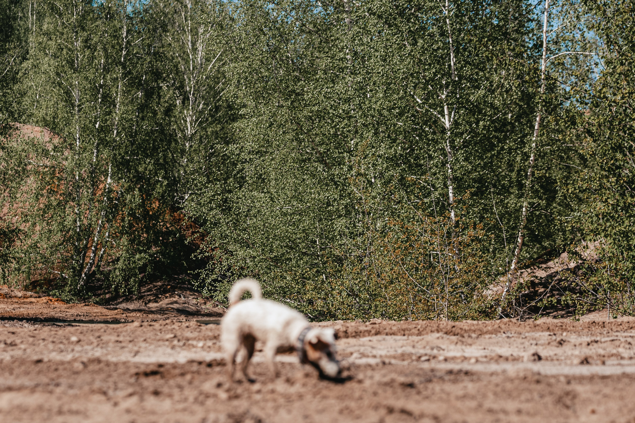Кондуки. Фотограф-анималист Татьяна Степанова