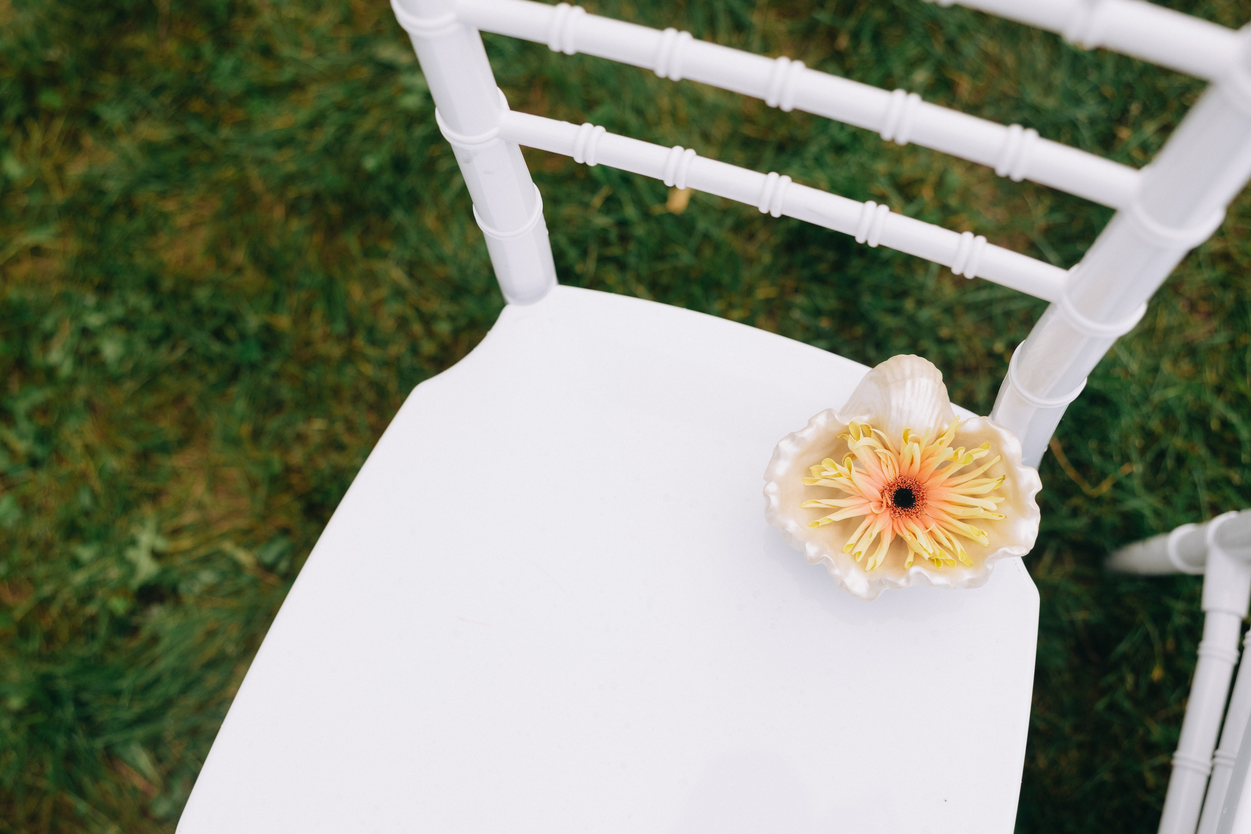 Максим + Алина. Александр Видякин Фотограф в Хакасии и Красноярском крае