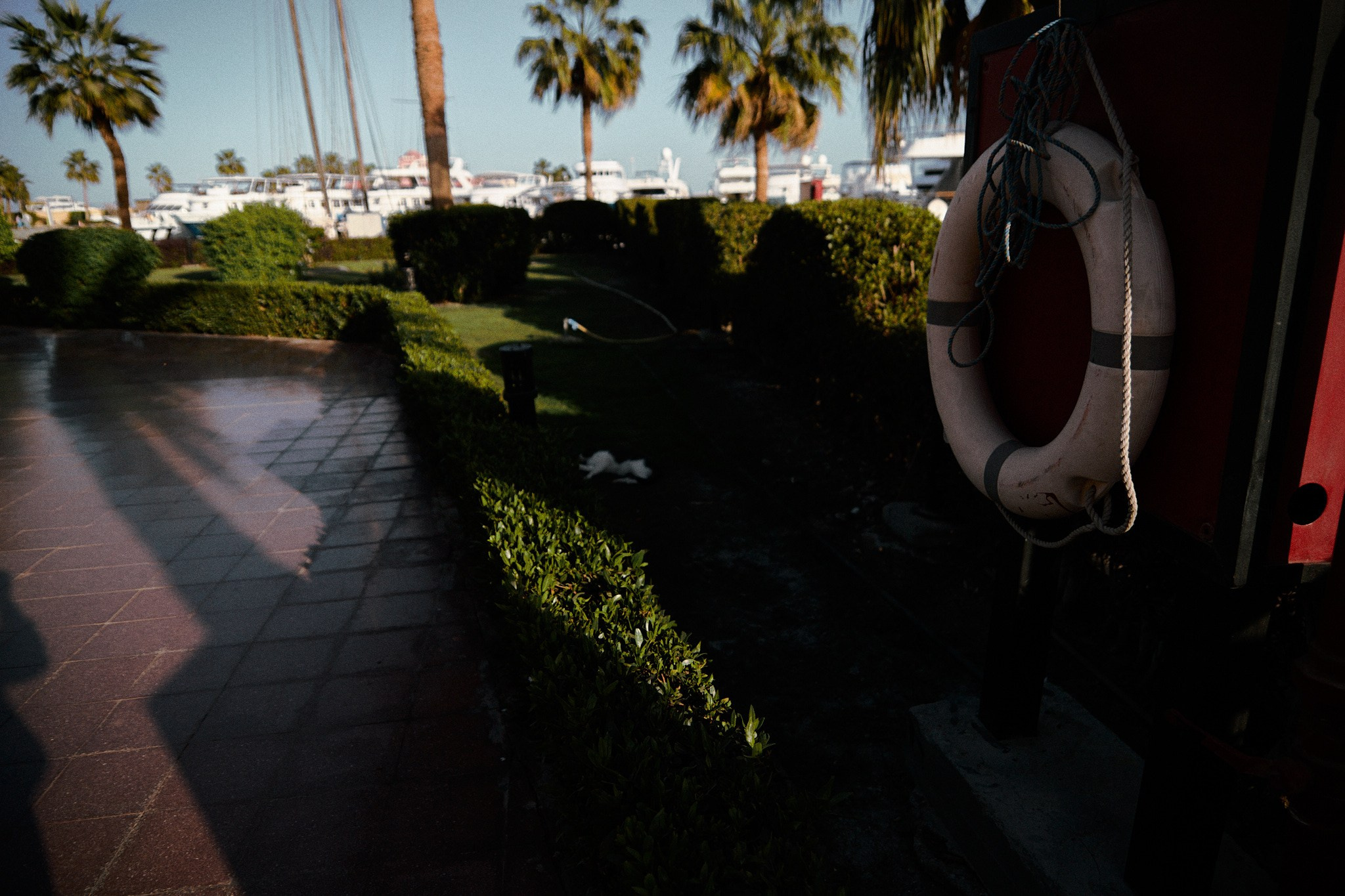 Улица горизонтальная. Jorgis — фотограф в Хургаде / обучение фотографии