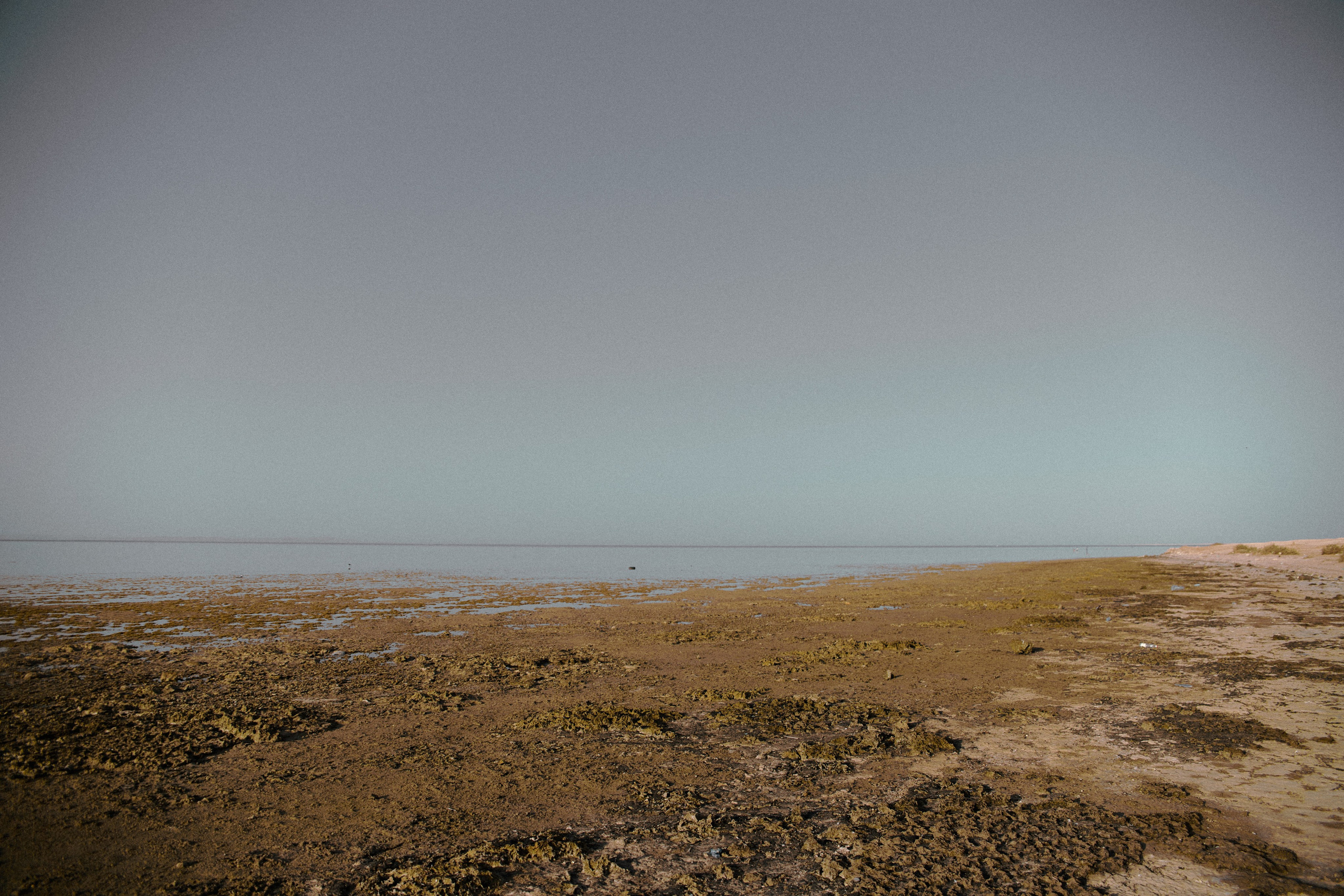 Улица горизонтальная. Jorgis — фотограф в Хургаде / обучение фотографии