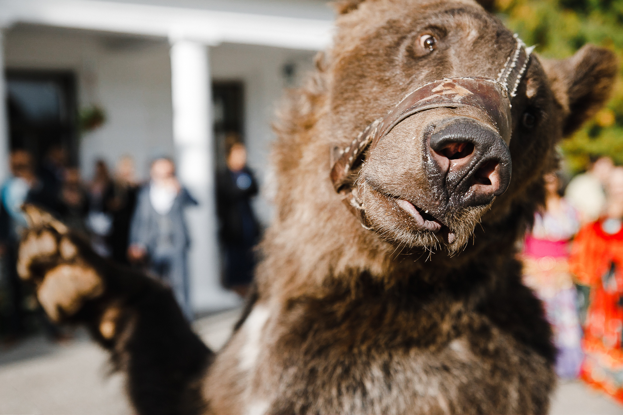Ushanka Vodka Rock and Roll. ROMA GORBATOVSKY