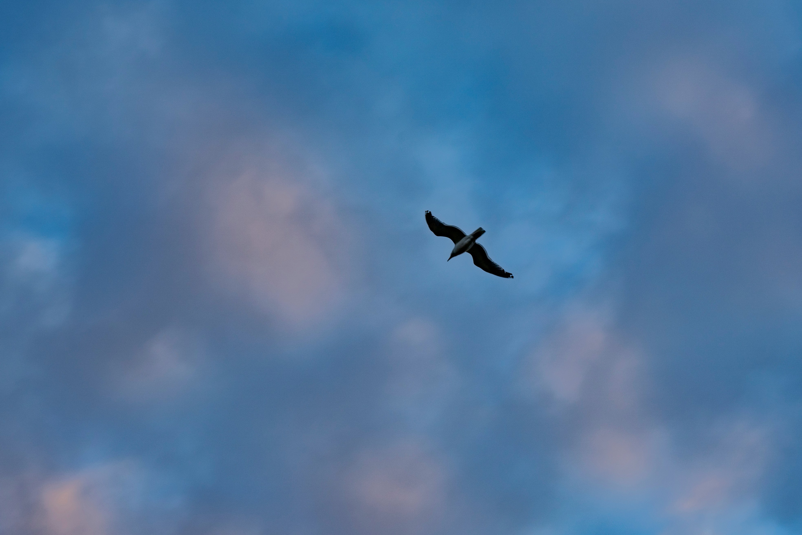 НАД ВОДОЙ. Фотограф Татьяна Андриянова