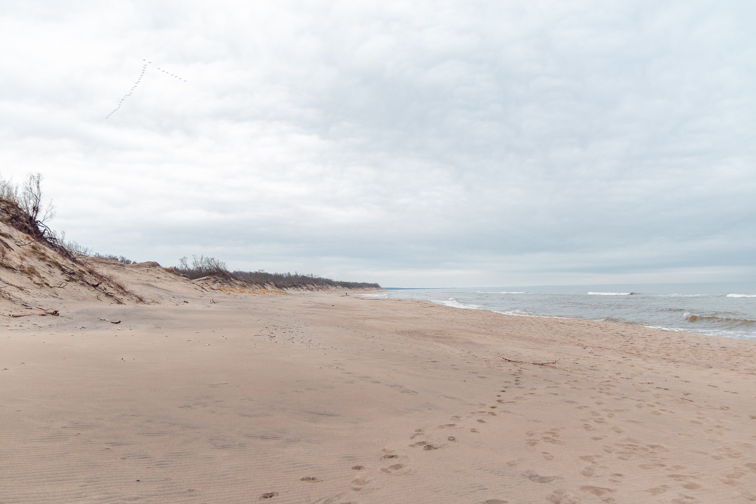 Алина и Иван | Куршская коса. Фотограф Елена Медок Калининград
