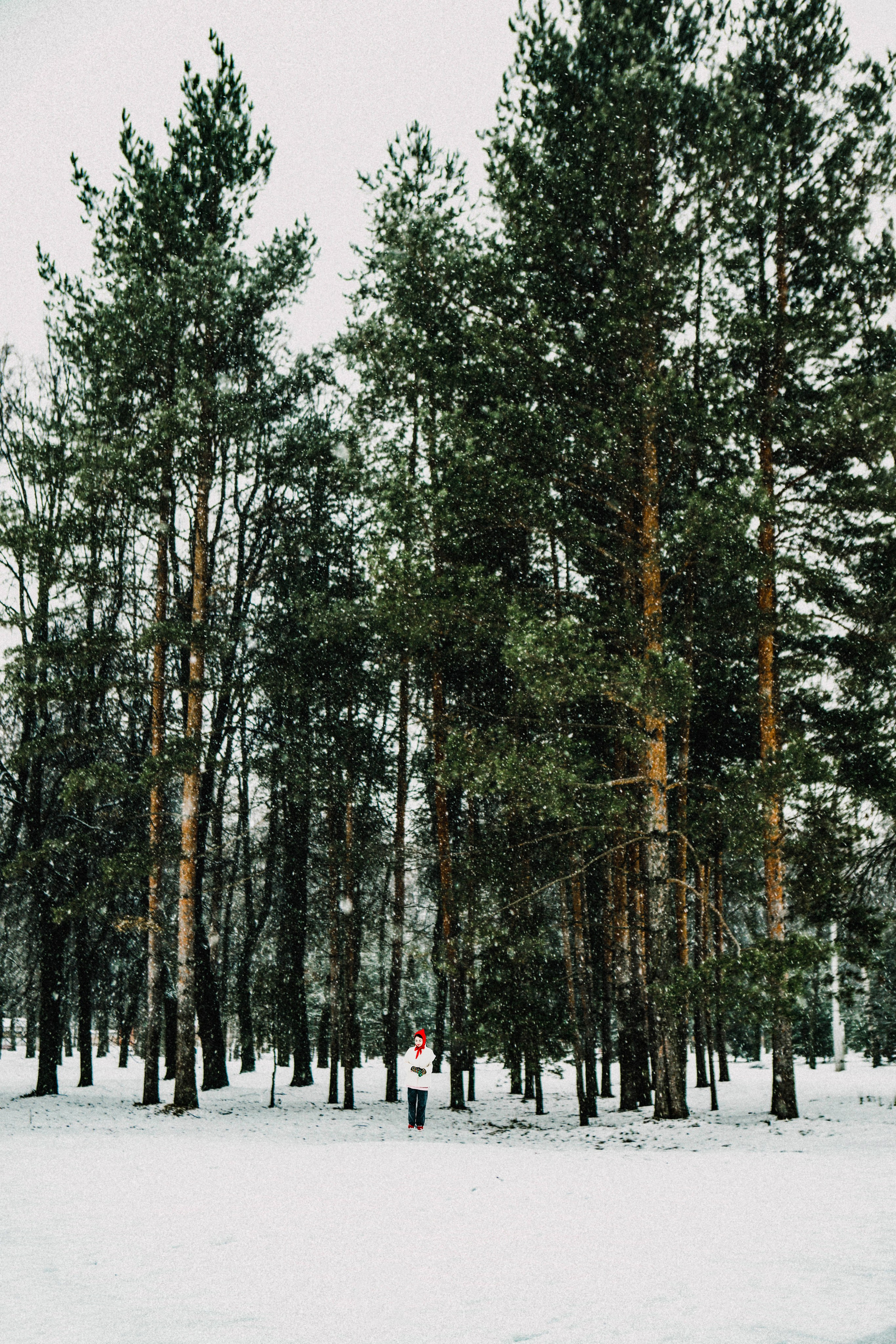 Настя ❄️ Ёлки-палки ❄️. Фотограф в Нижнем Новгороде