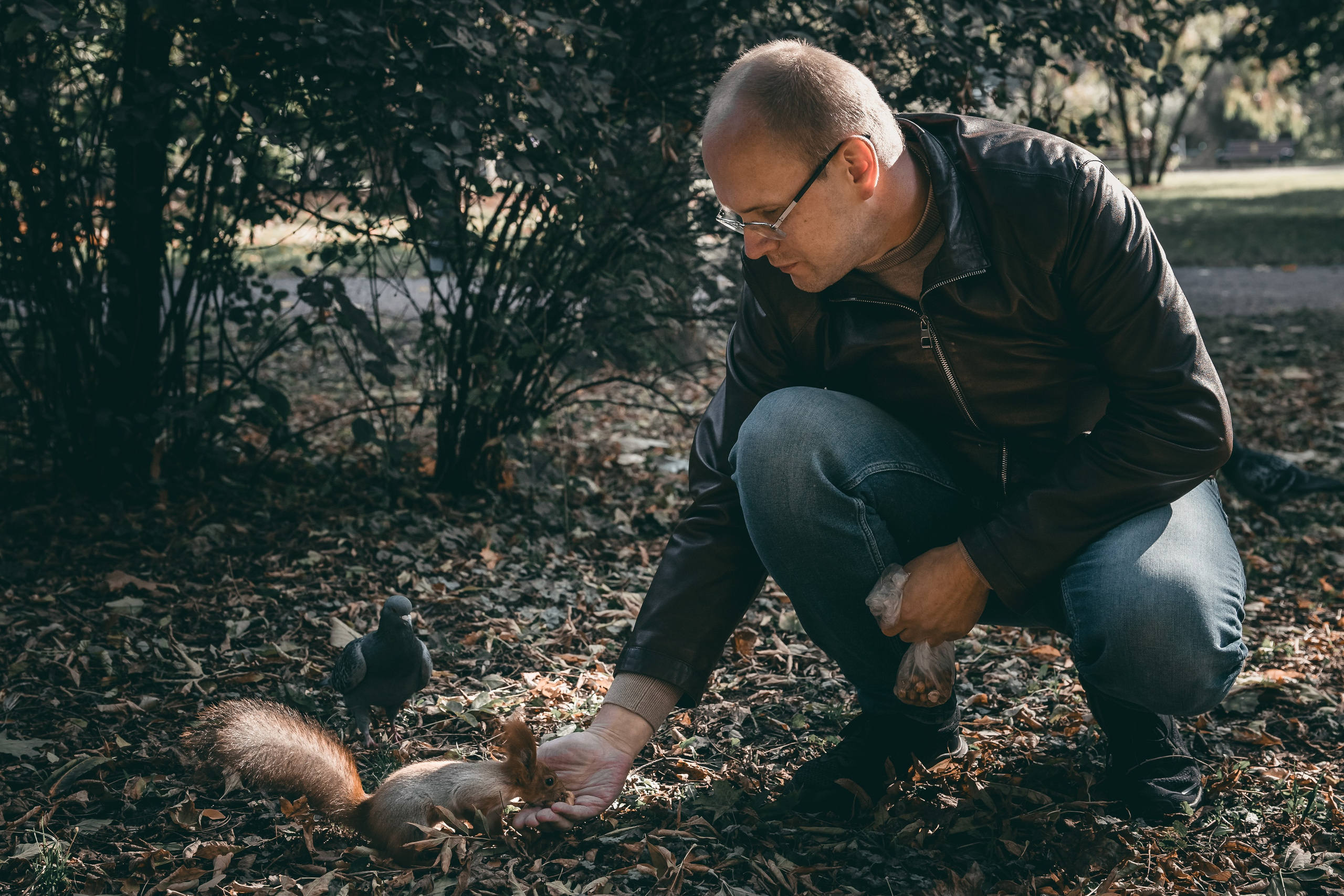 Осенняя прогулка в парке. Фотограф в Москве Мухина Ирина