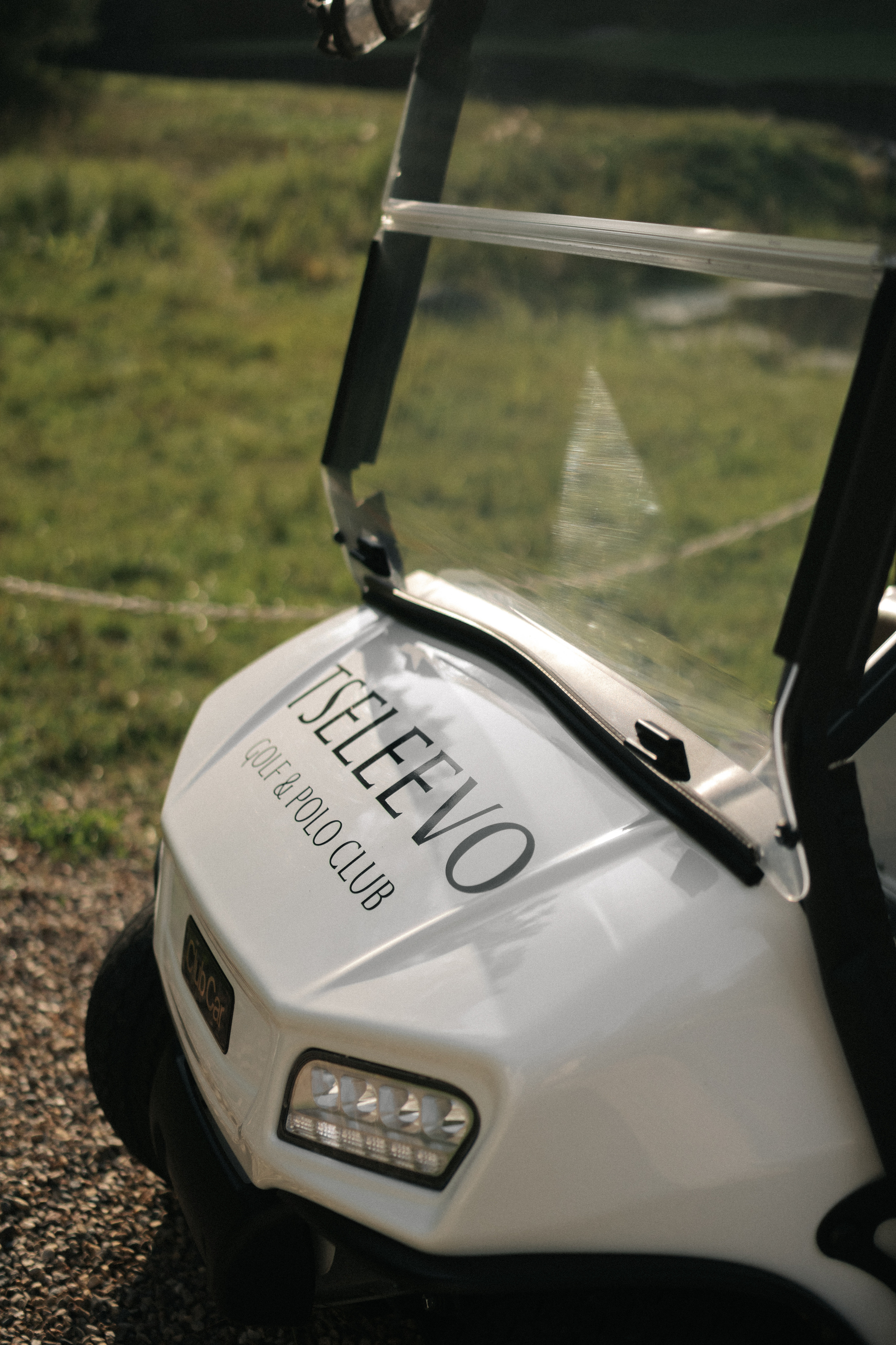 Свадьба в Целеево. Свадебный фотограф Москва Мотеюнайте Виктория