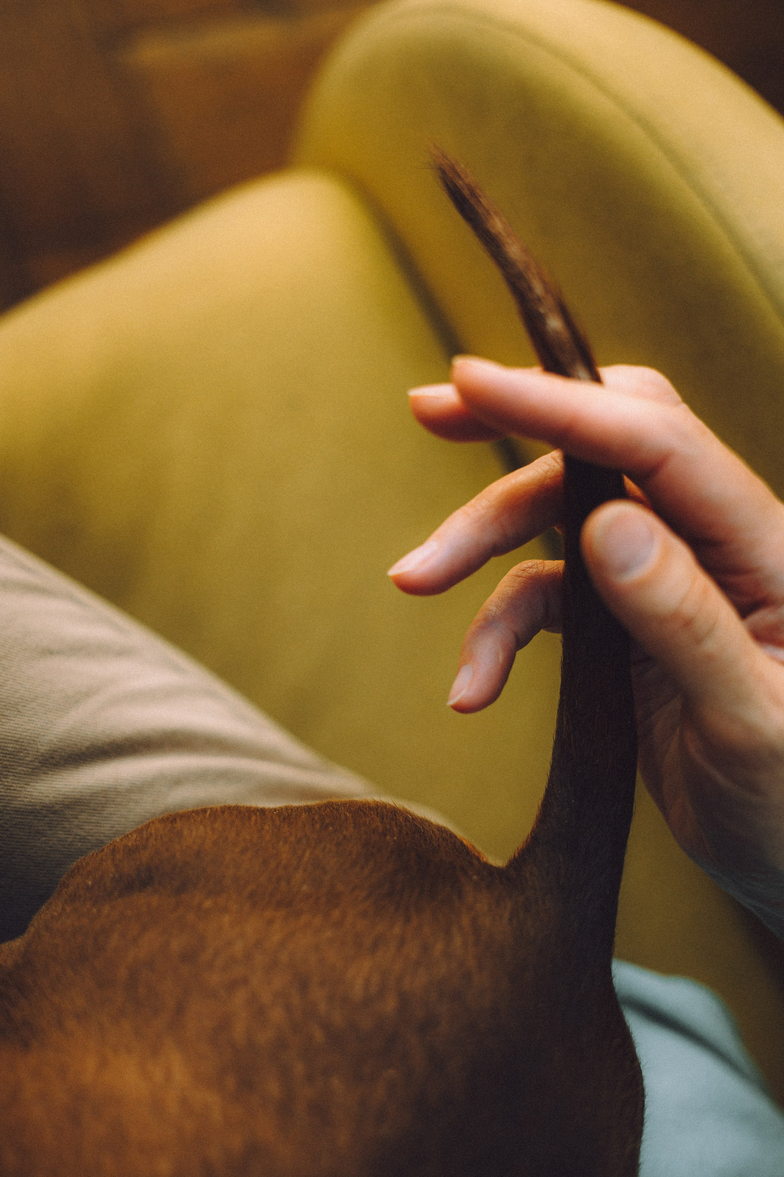 Кокос, Света, Динара и Вилли