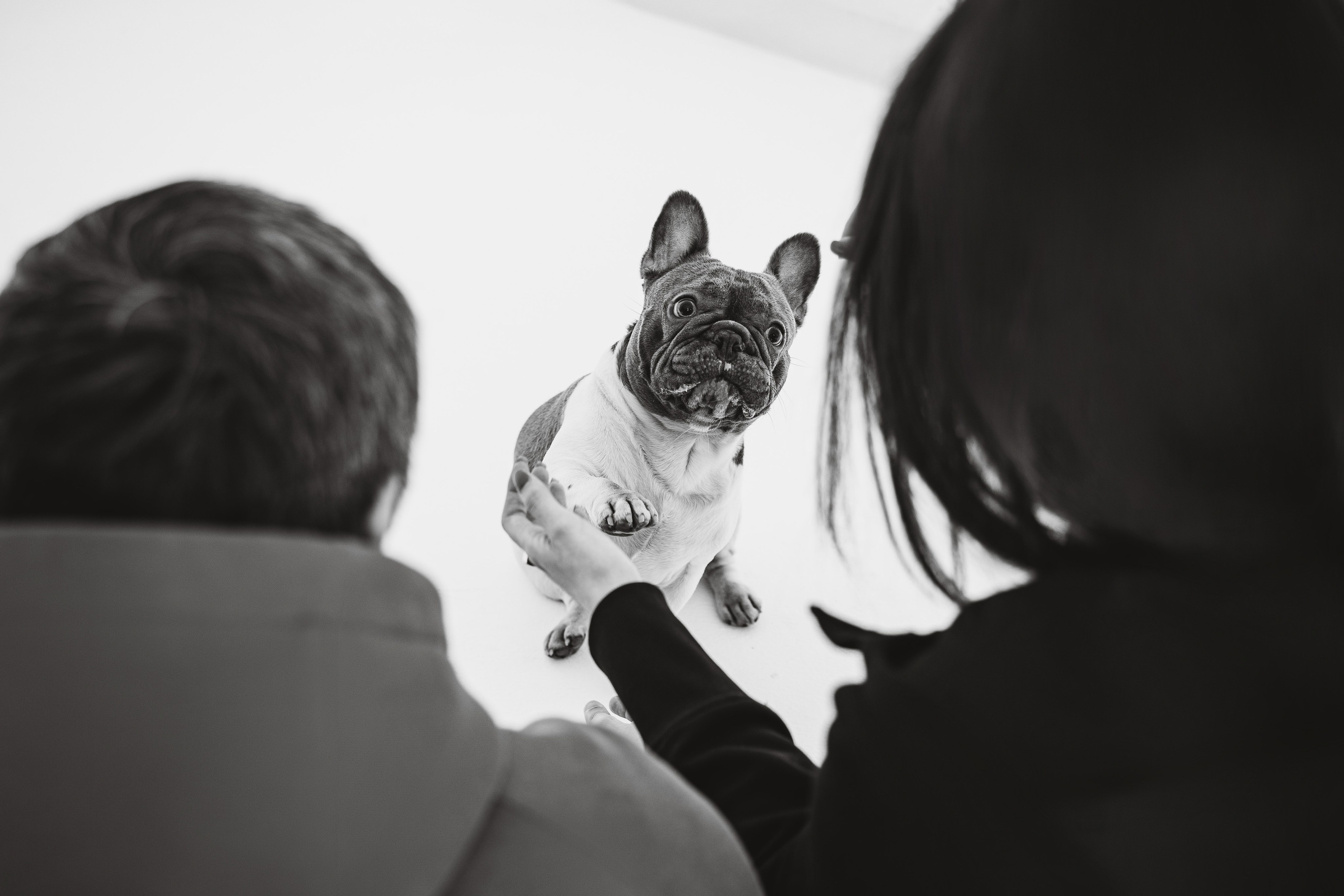 Екатерина, Виталий и Ричи