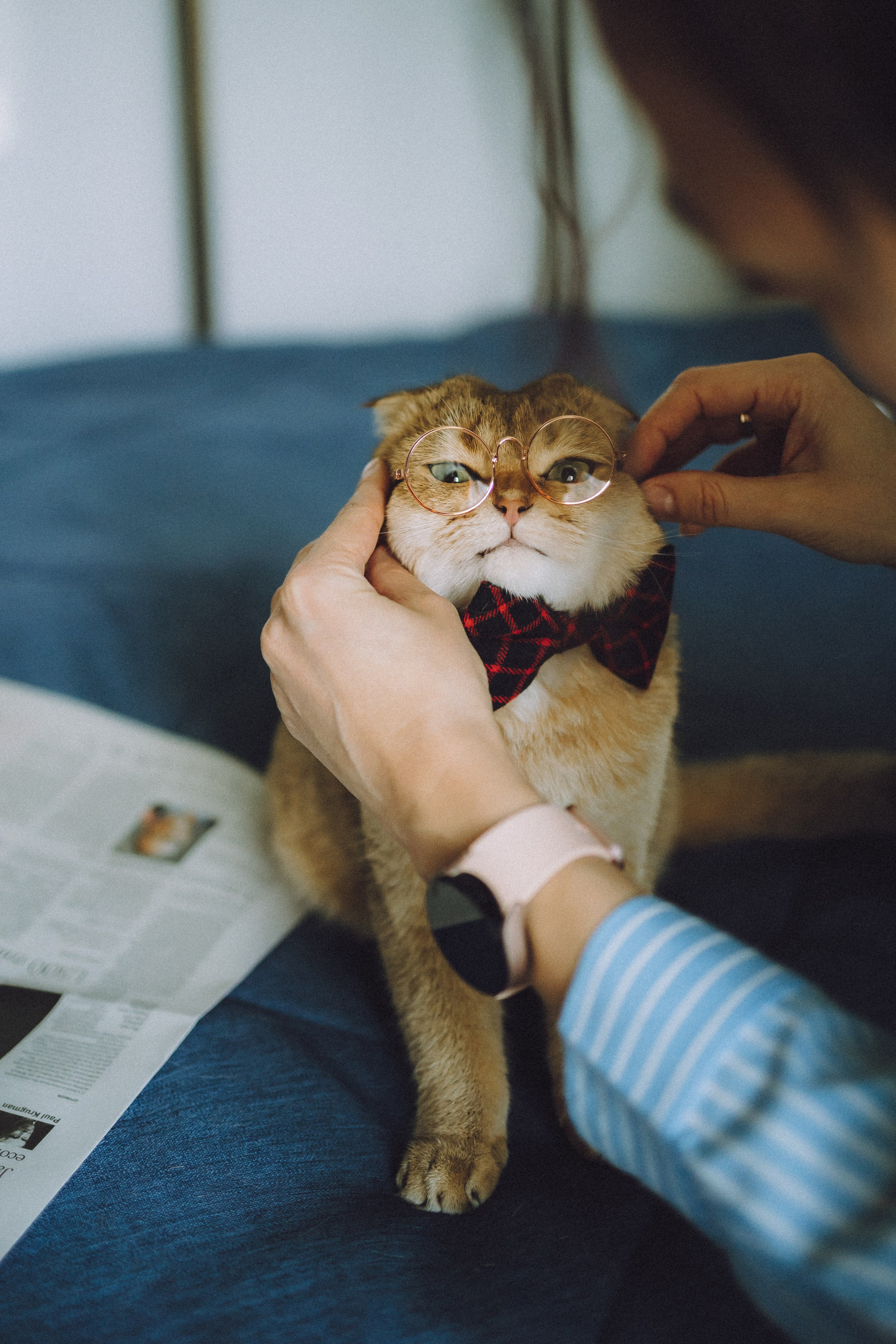 Генри и его семья